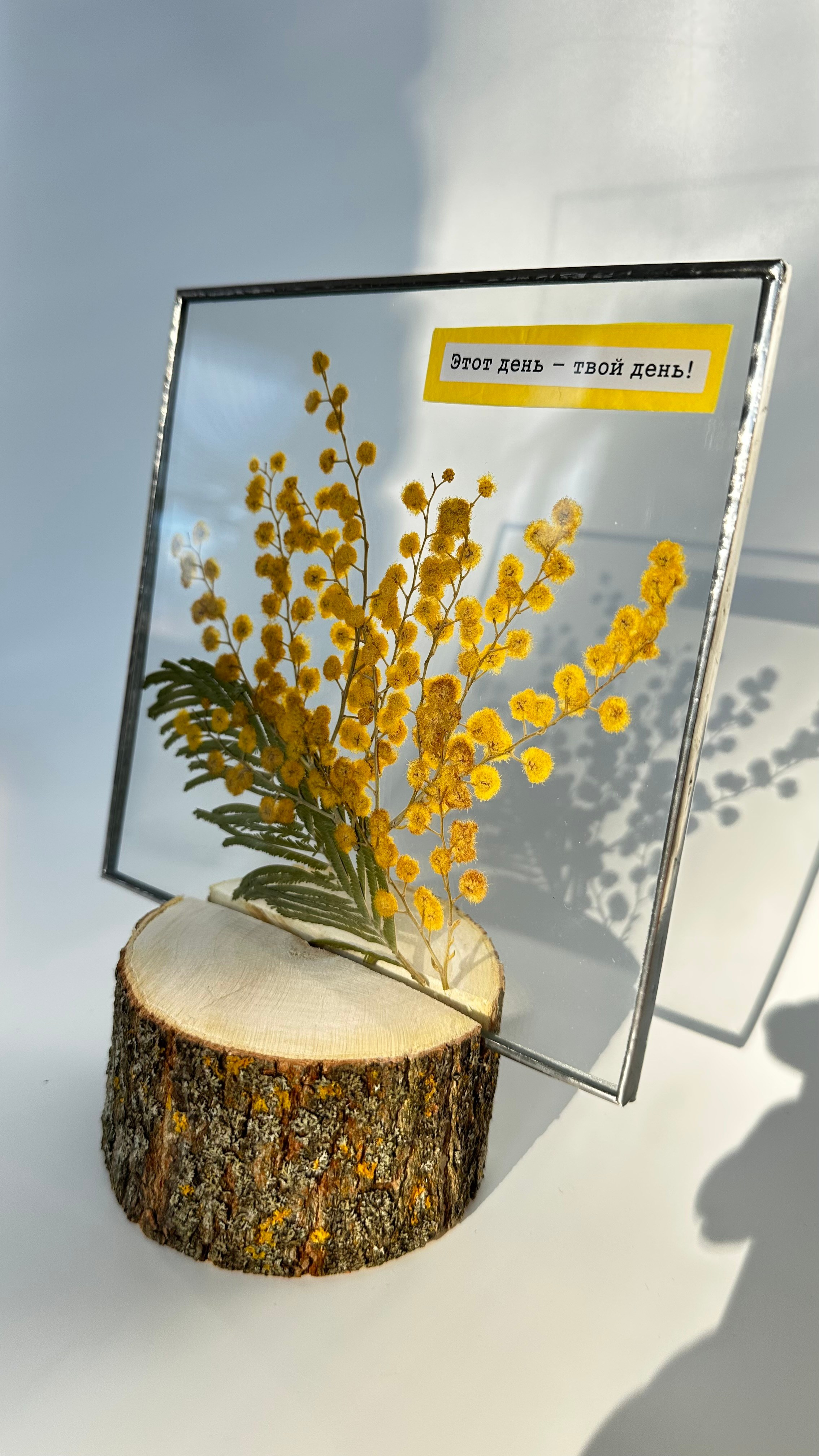 Витражи в технике тиффани с засушенными растениями (гербарии в стекле) в наличии и на заказ. Гербарий в стекле, интерьерные панно, витражи с сухоцветами в технике тиффани