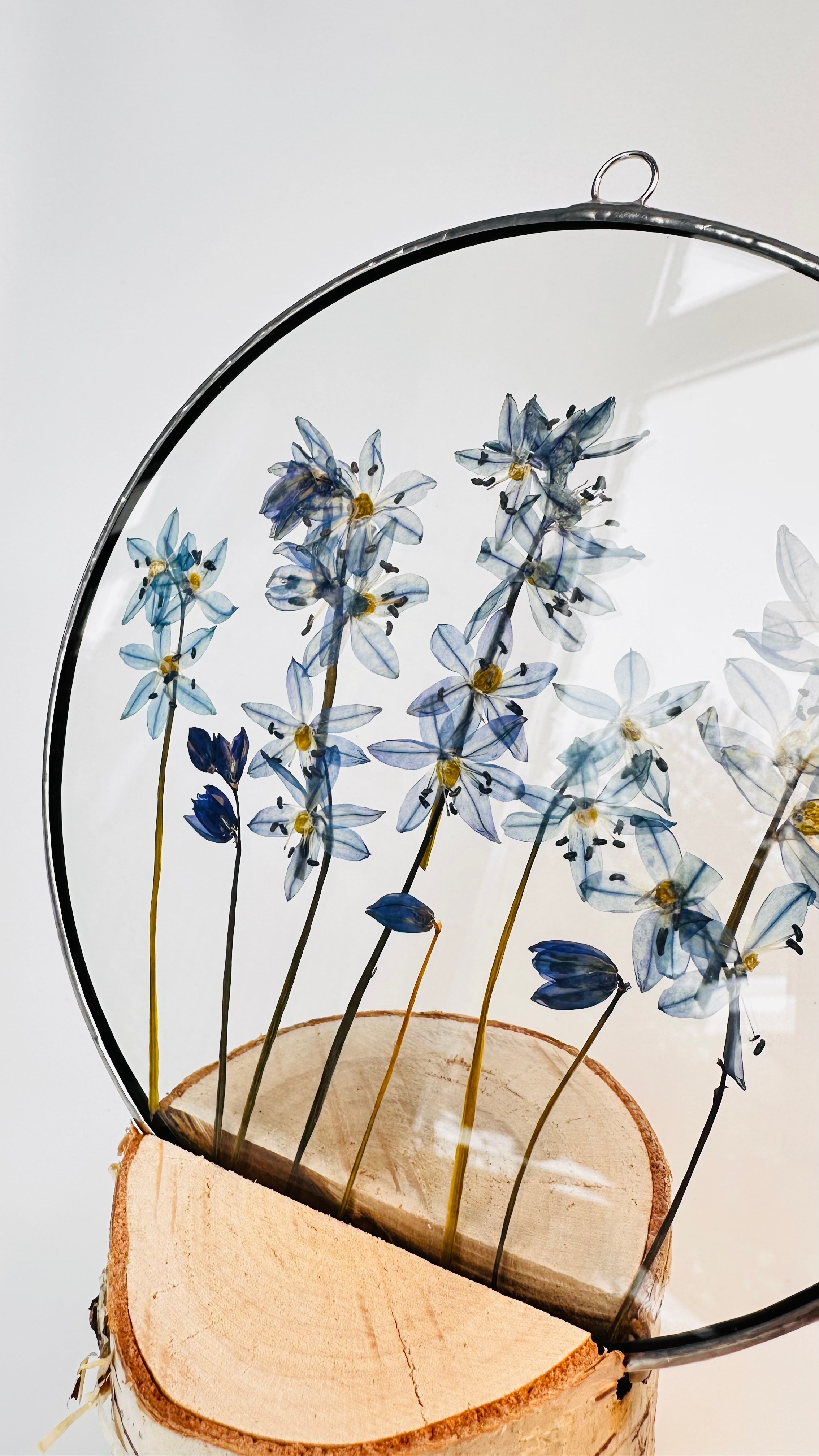 Гербарий в стекле с сухоцветами (витраж в технике тиффани). Гербарий в стекле, интерьерные панно, витражи с сухоцветами в технике тиффани