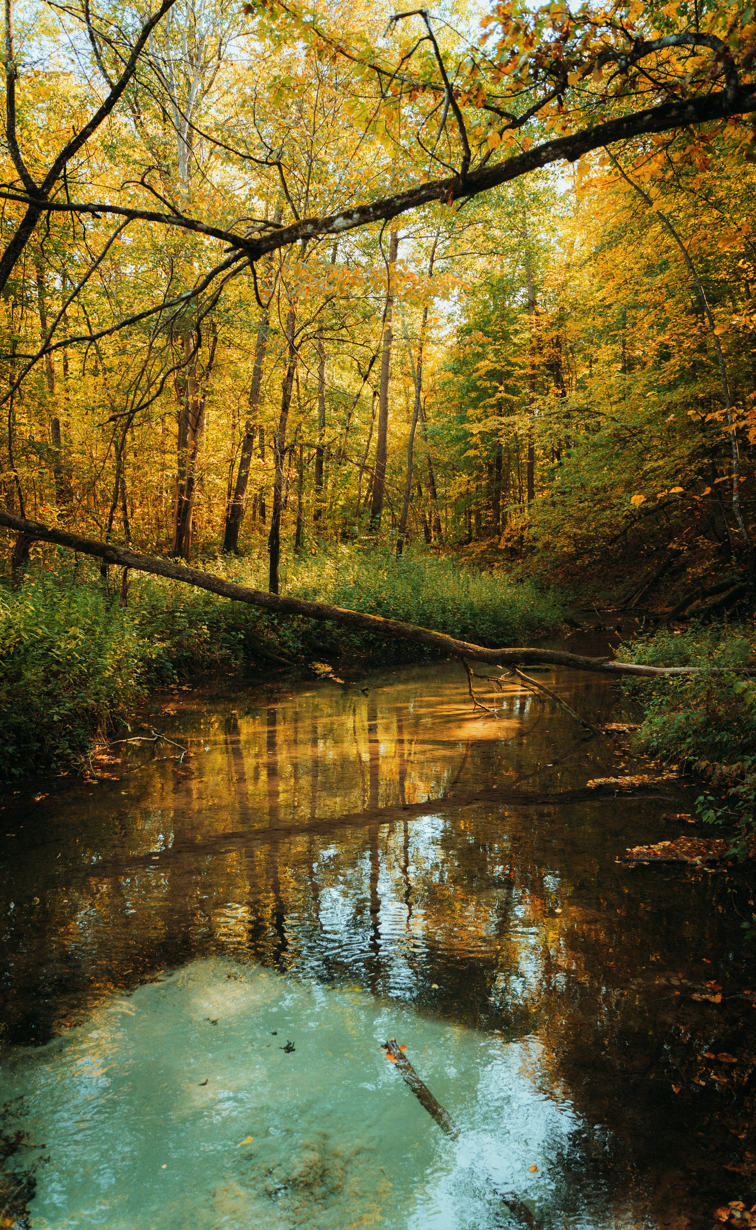 Good Friends Trip / команда локальных путешествий. Саша Копылов, фотограф в Казани