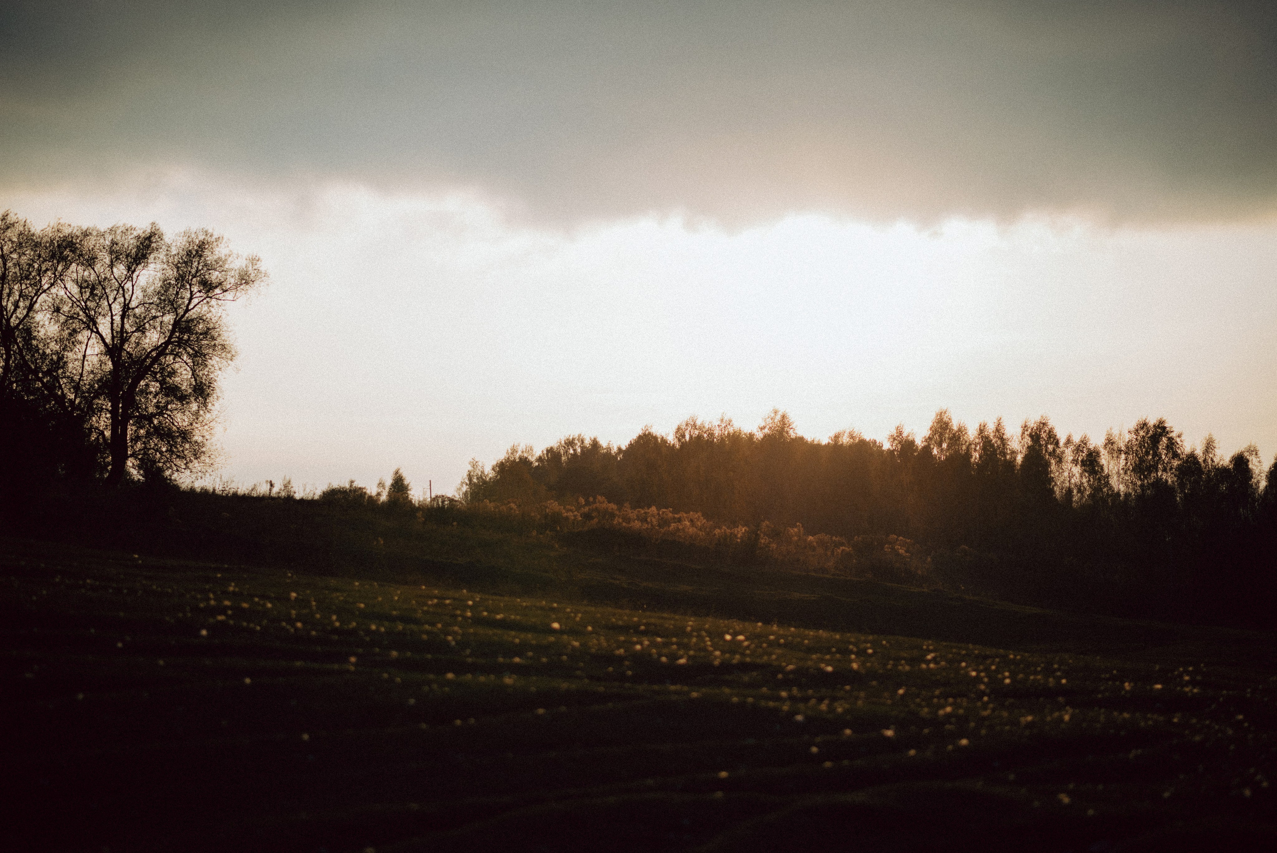 Алёна. Свадебный и портретный фотограф Анастасия Тетёркина, Брянск и Санкт-Петербург