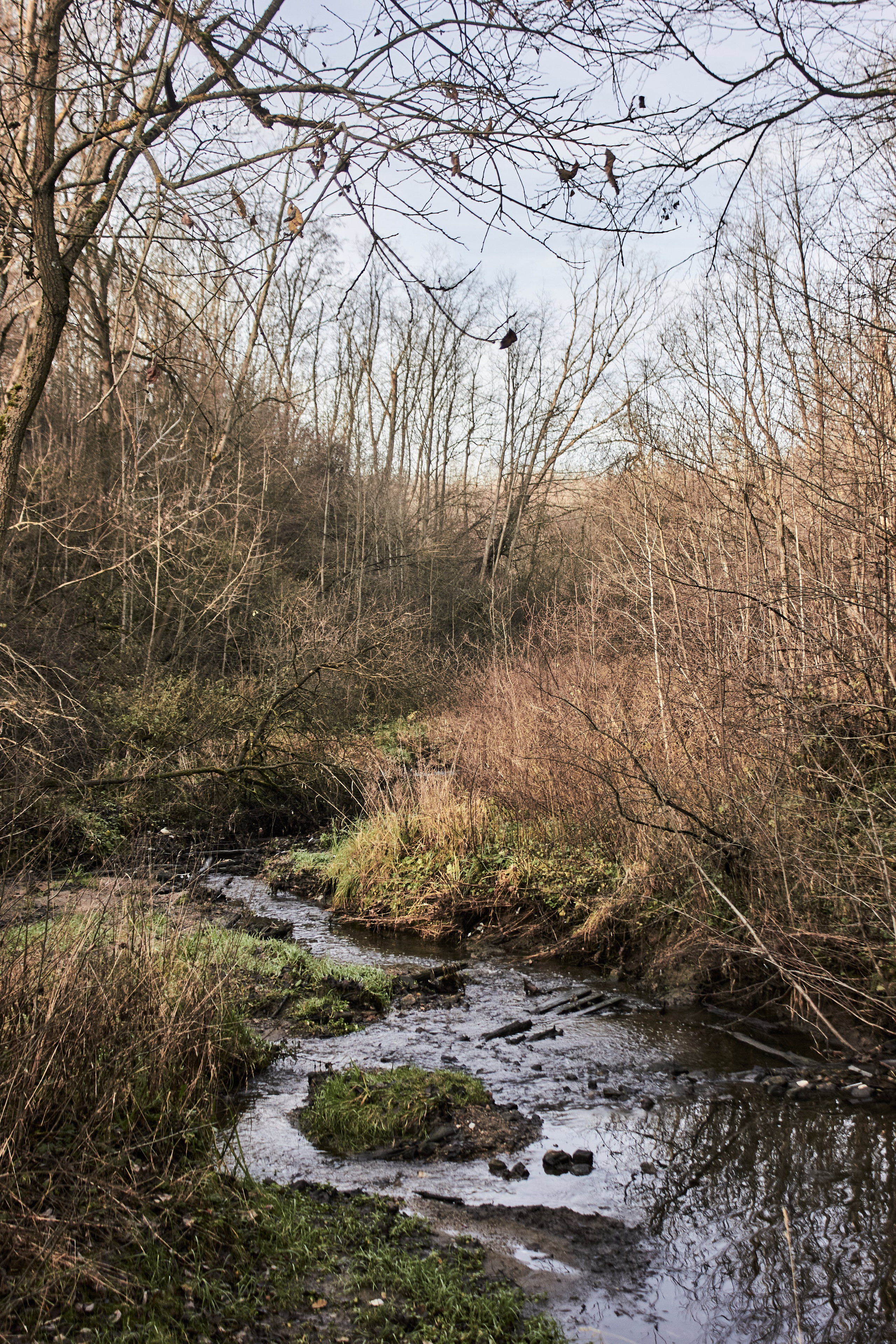 Ноябрьский призрак. Портретный фотограф из Москвы Комбар Елизавета