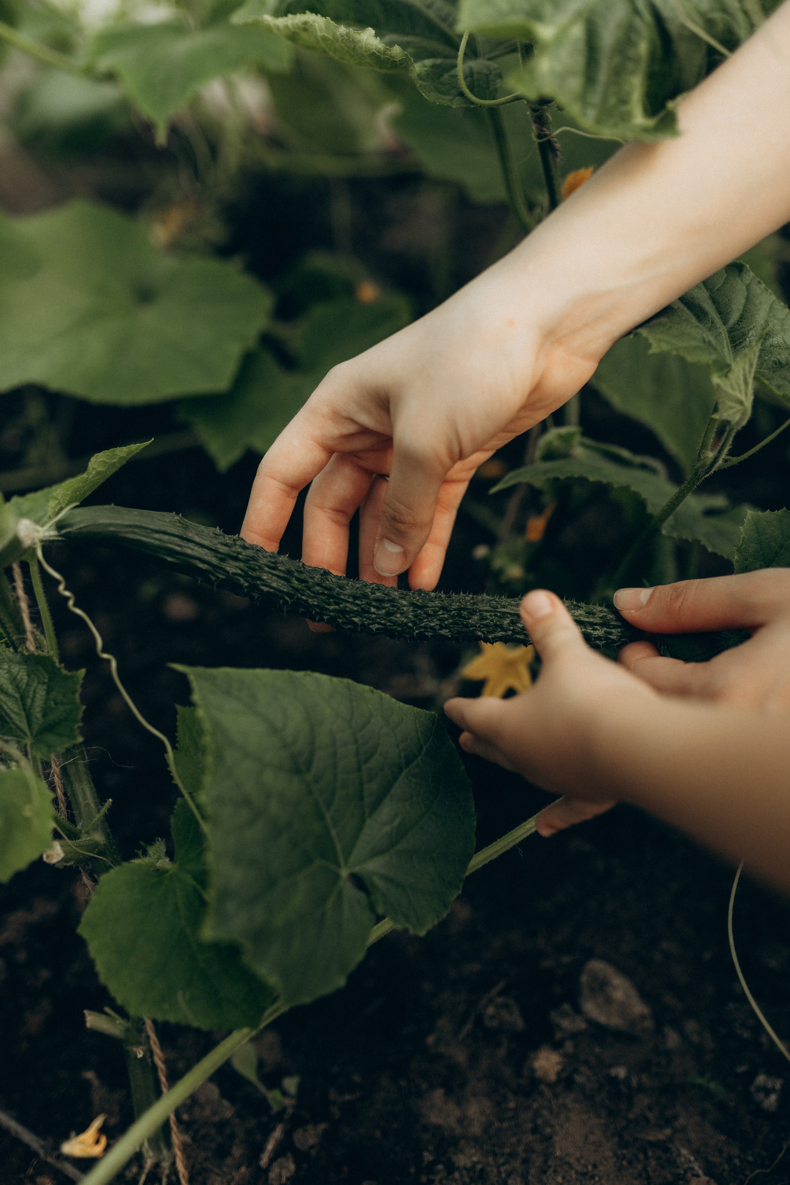 Артём, Полина, Серёжа. Фотограф НОГИНСК, Москва, Анастасия Белая