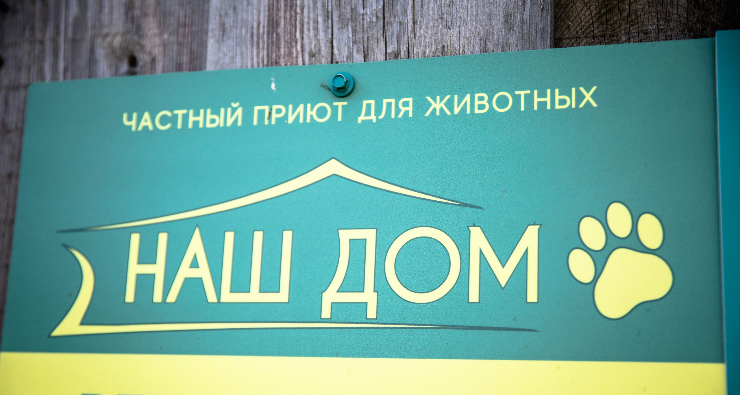 Приют — Наш дом. Репортажный и свадебный фотограф в Челябинске Елисеев Павел