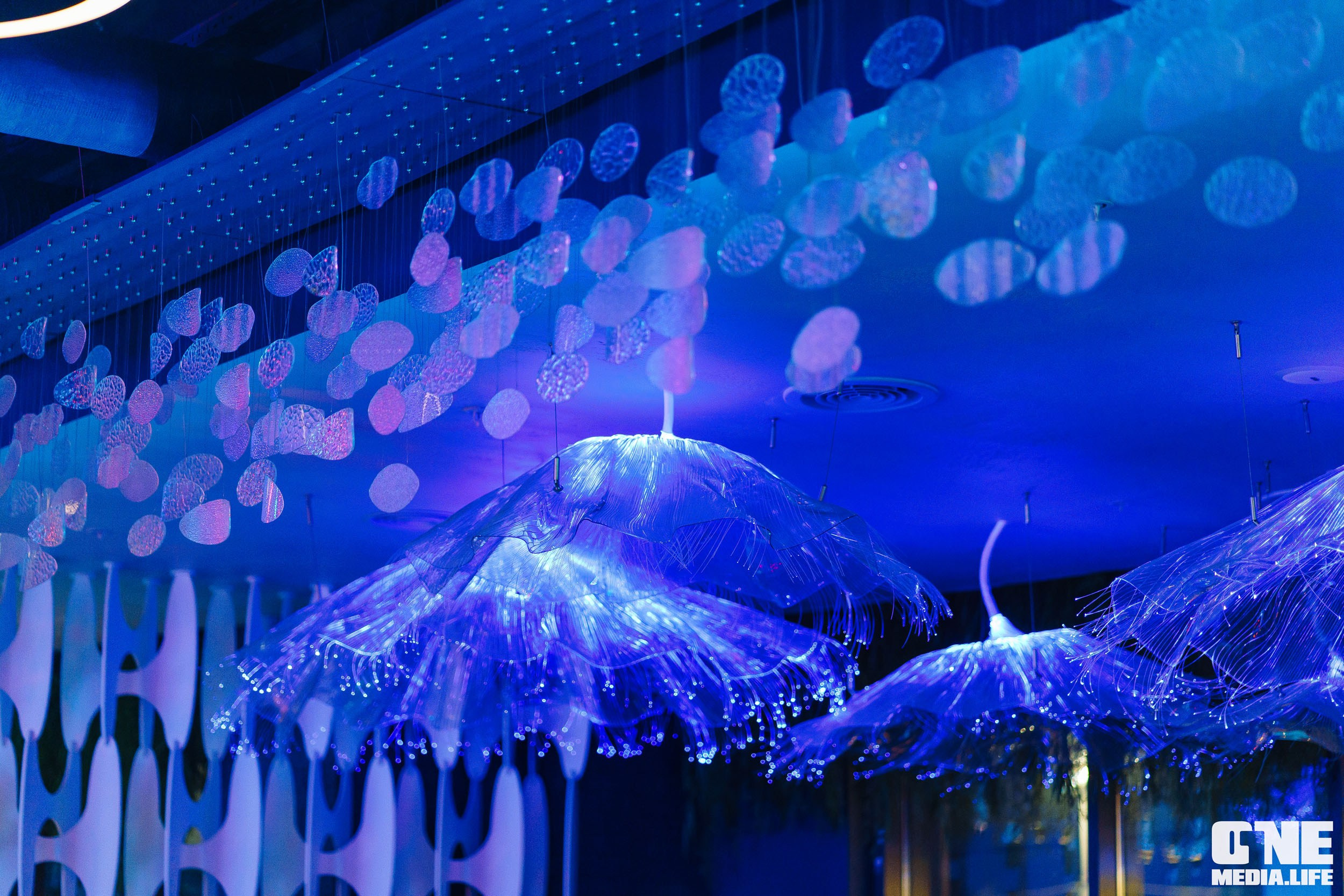 Фоторепортаж из ресторана Океан. One Media Life: фоторепортажи, фотоотчеты с мероприятий и заведений