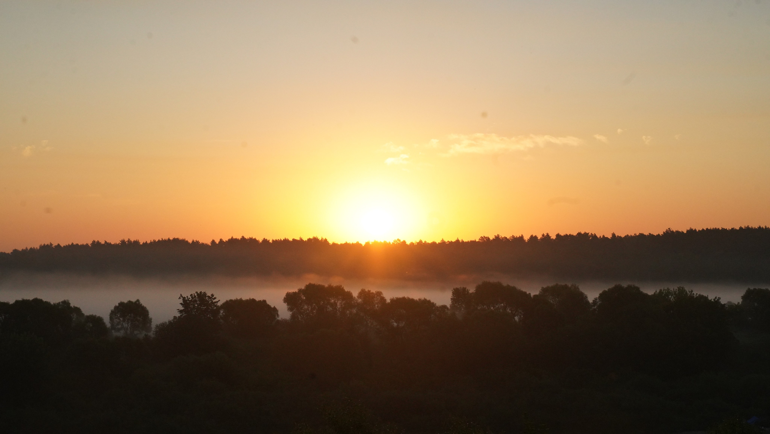 Репортажный фотограф в Москве Светлана Мулыкина