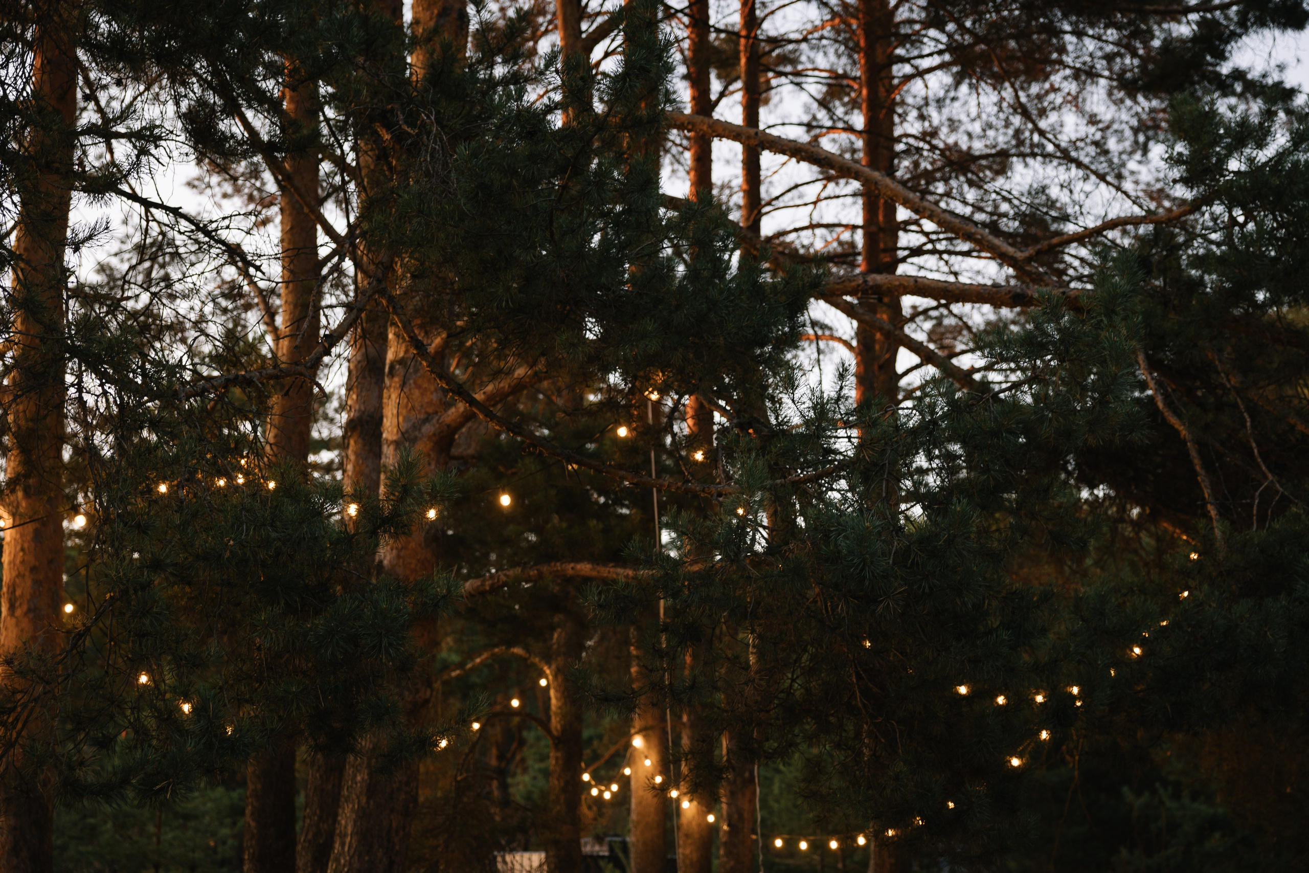 Artem&Anna Wedding day. Свадебный фотограф в Ижевске Диля Ахмадишина