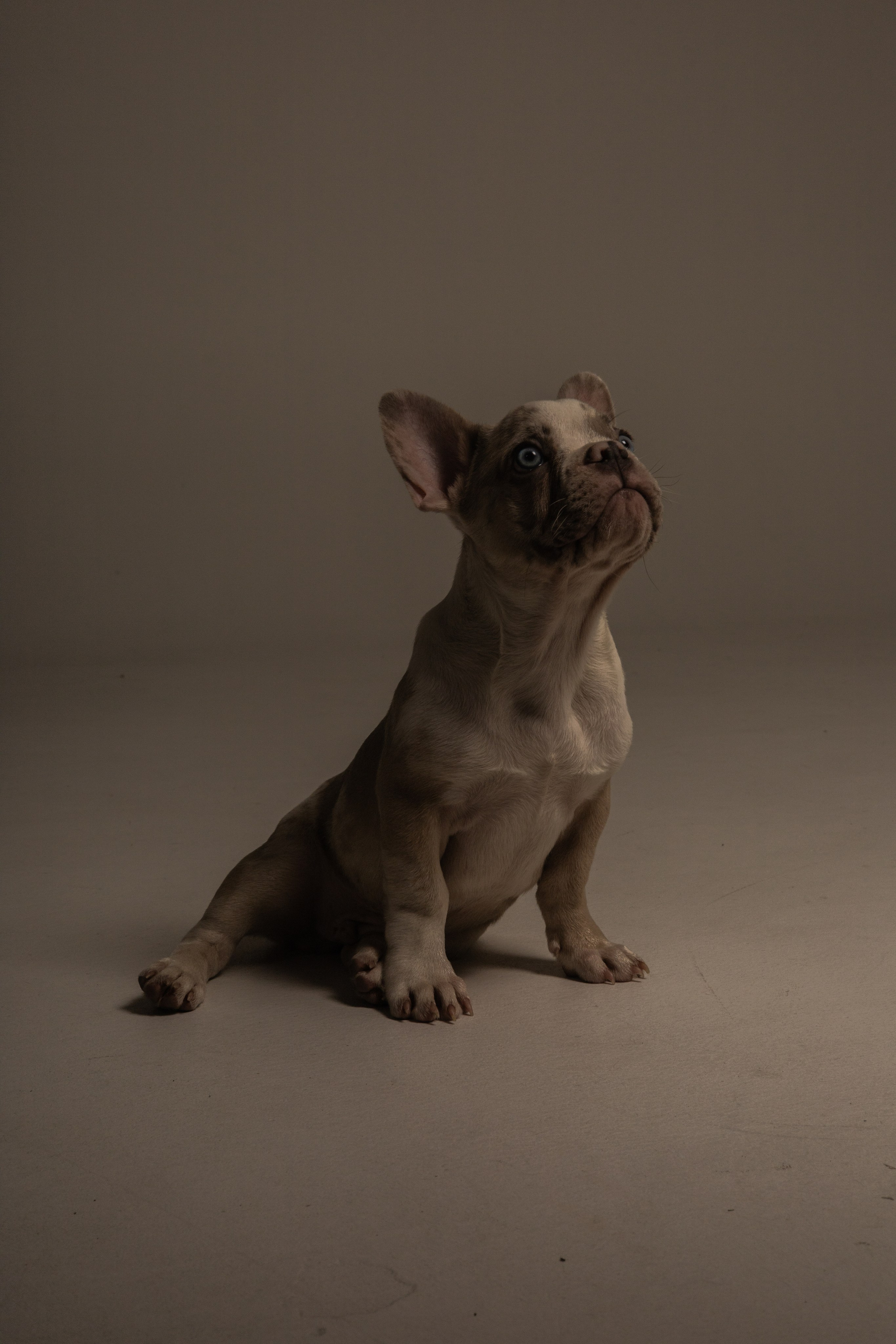 Константин. Gorbunova Alina Фотограф