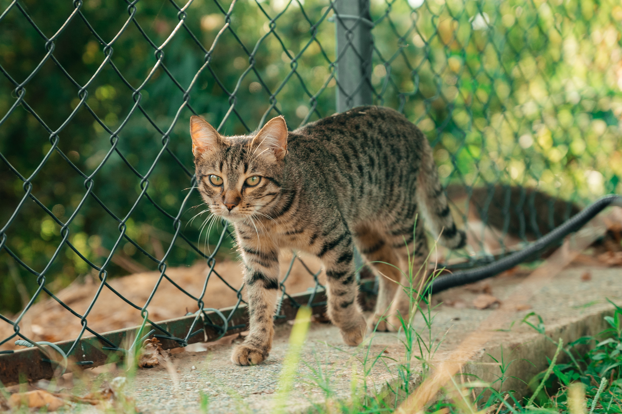 Luka 7. Photo & Video production, in Bishkek, Kyrgyzstan