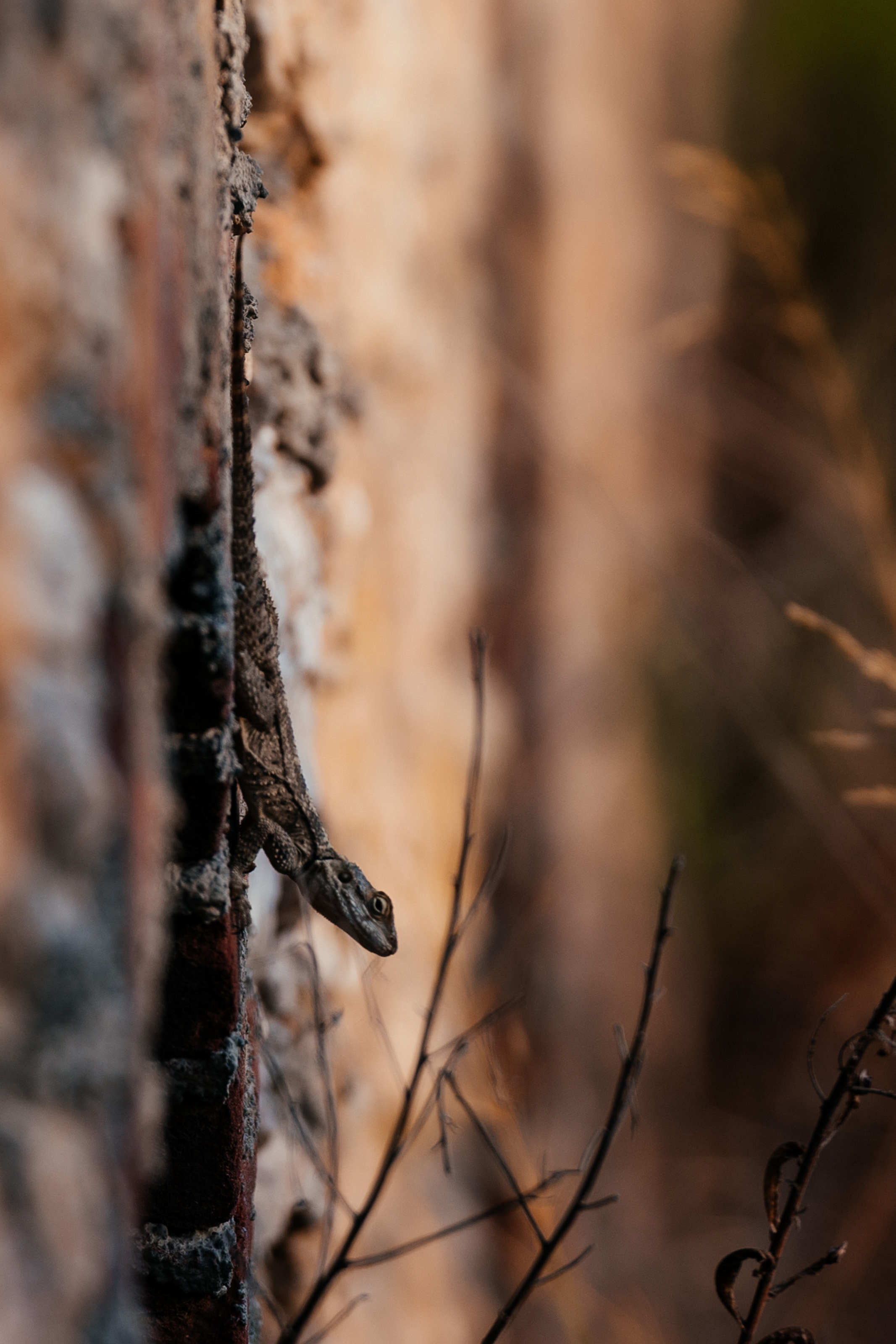Turkish love story. Photo & Video production, in Bishkek, Kyrgyzstan