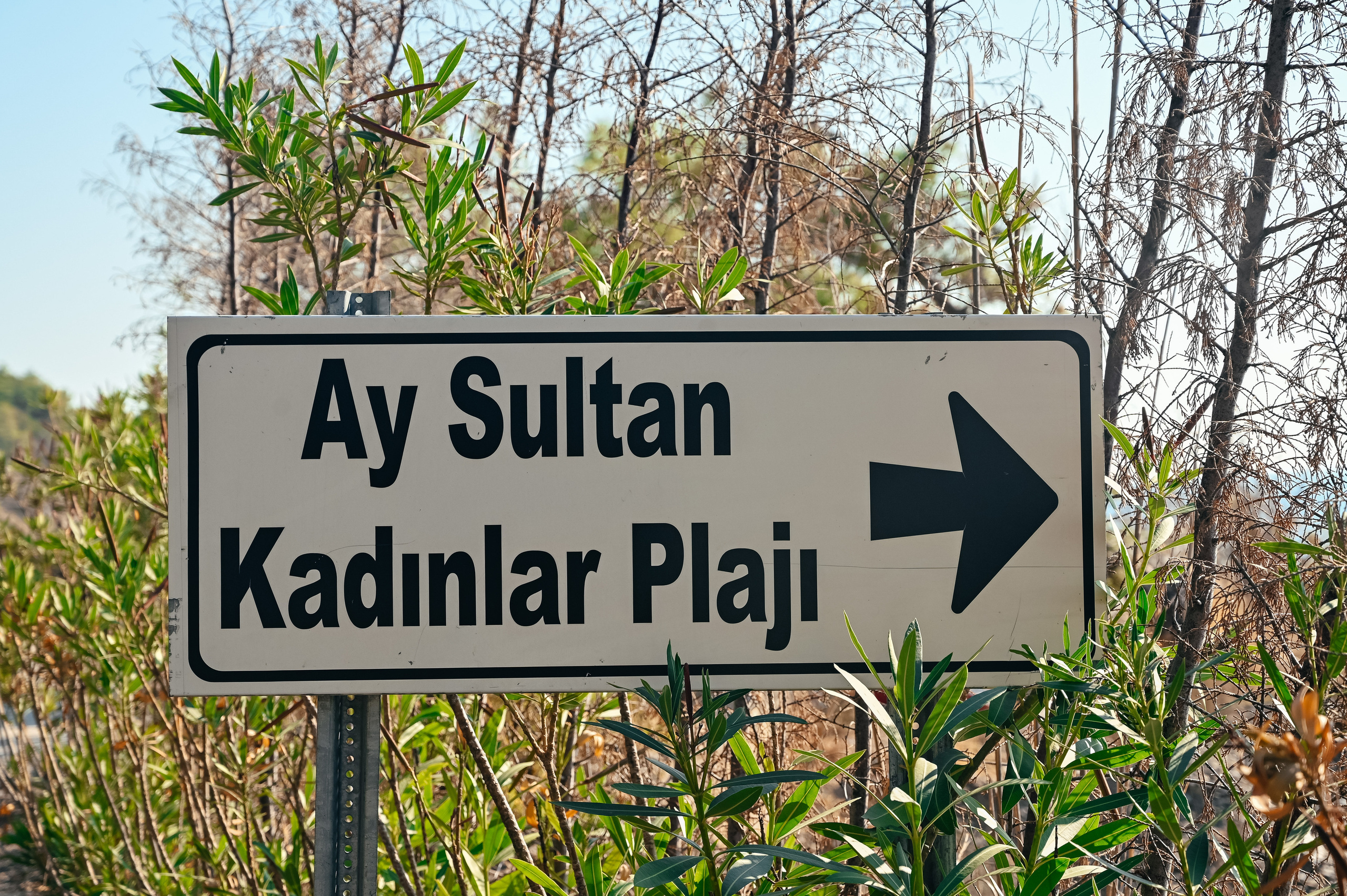 Dottt barbeque. Photo & Video production, in Bishkek, Kyrgyzstan