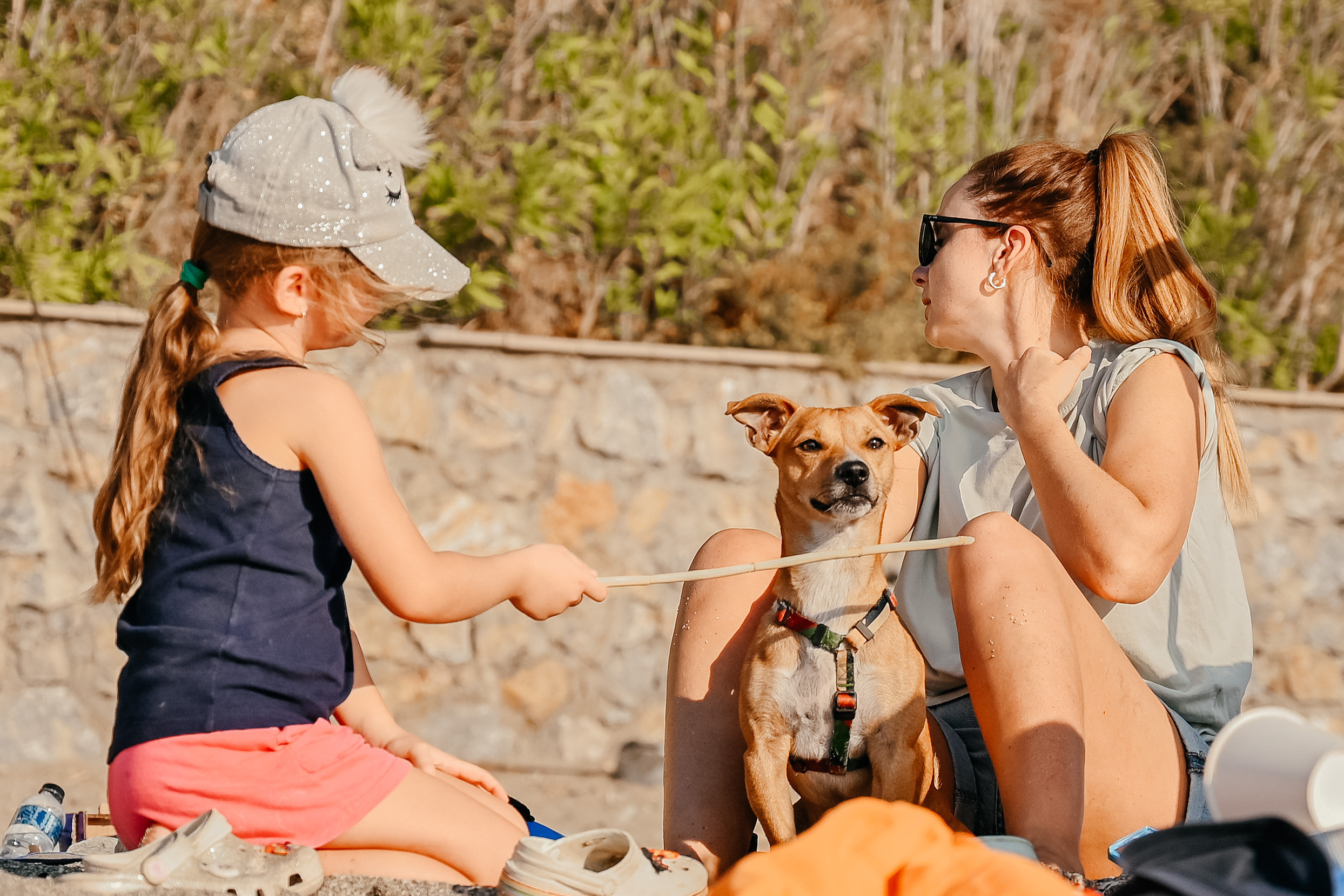 Dottt barbeque. Photo & Video production, in Bishkek, Kyrgyzstan