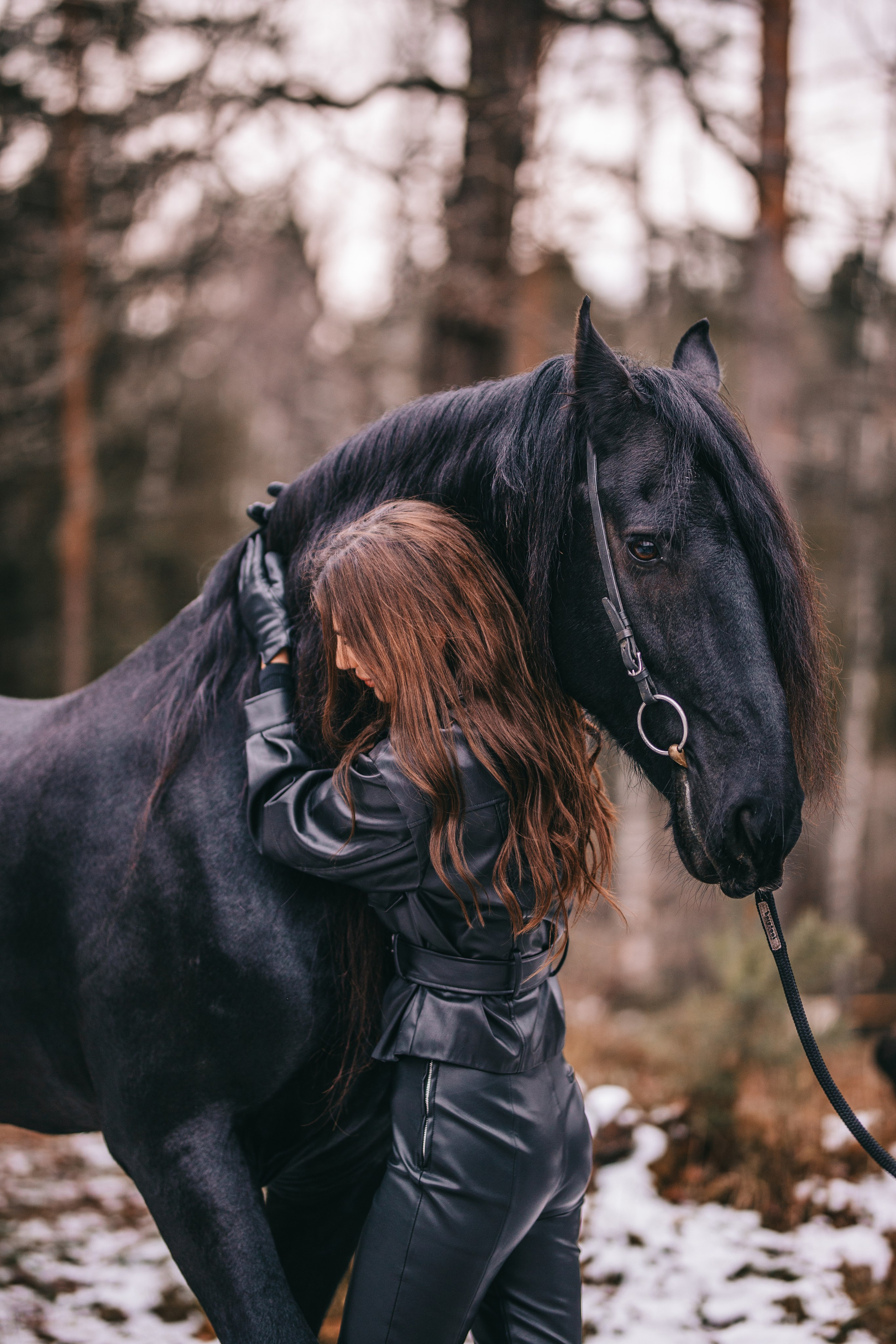 Фотосессия с лошадьми в Москве. Фотосессии с лошадьми