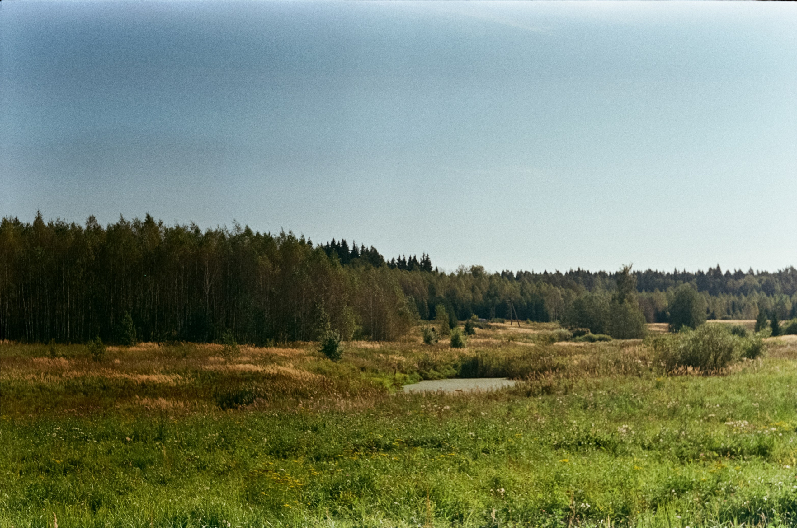 Edixa-MAT REFLEX Mod.D | Carl Zeiss Jena Biotar 58 mm f2 T | SFL 250D