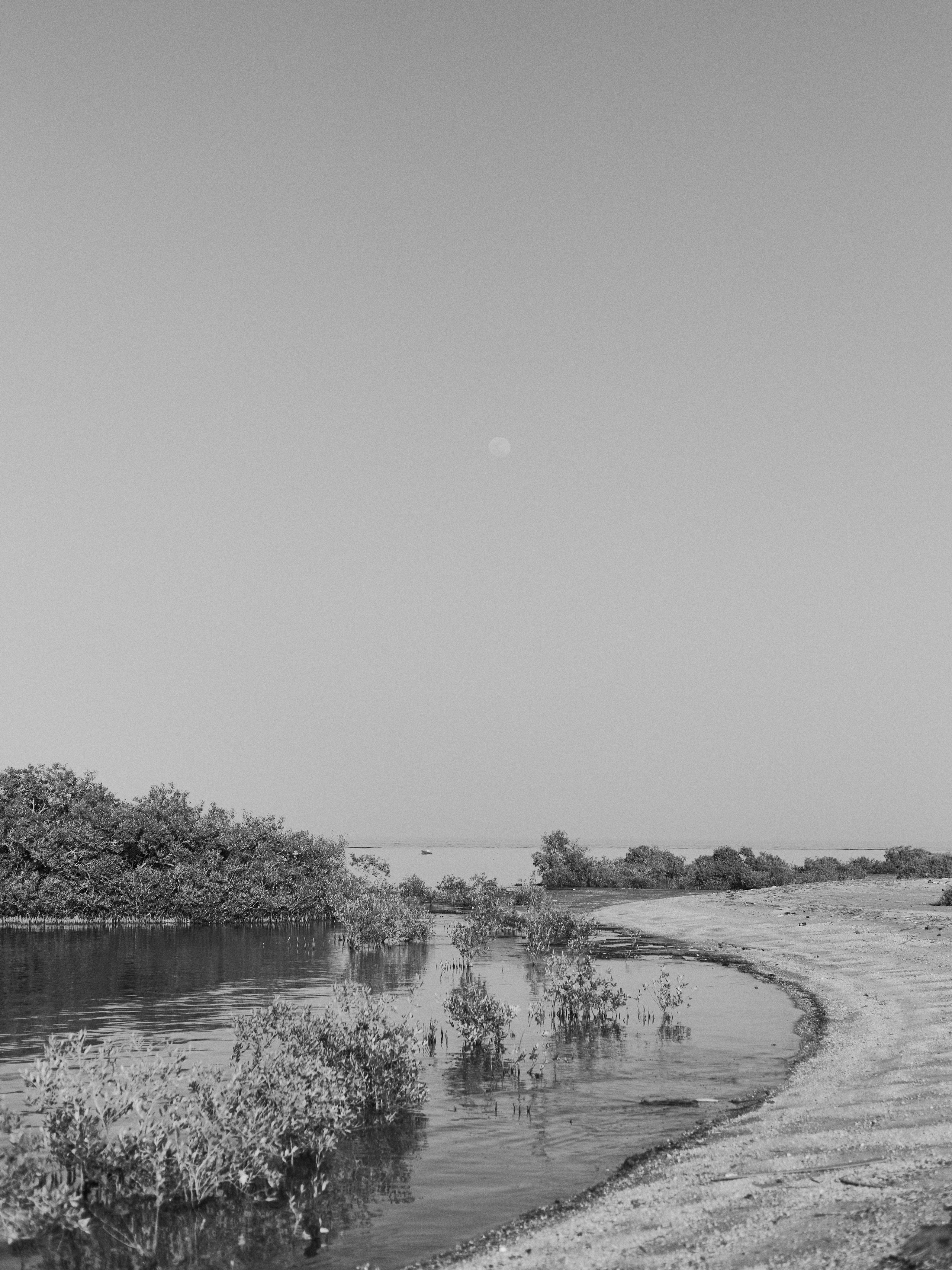 B&W. Jorgis — фотограф в Хургаде / обучение фотографии