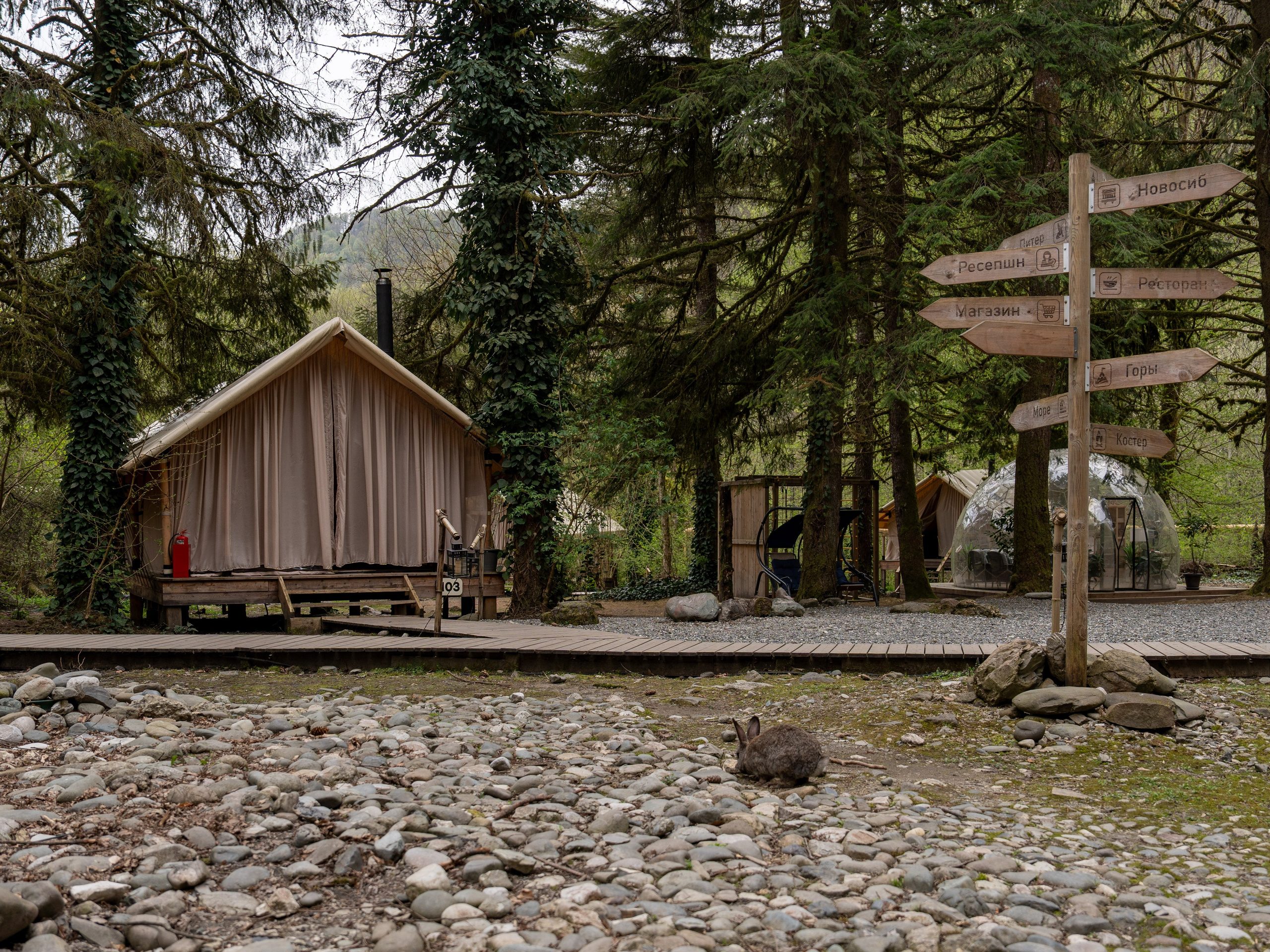 MICE мероприятие — джиппинг на каньон Псахо. Репортажный фотограф в Красной Поляне и Сочи Павлюченко Екатерина