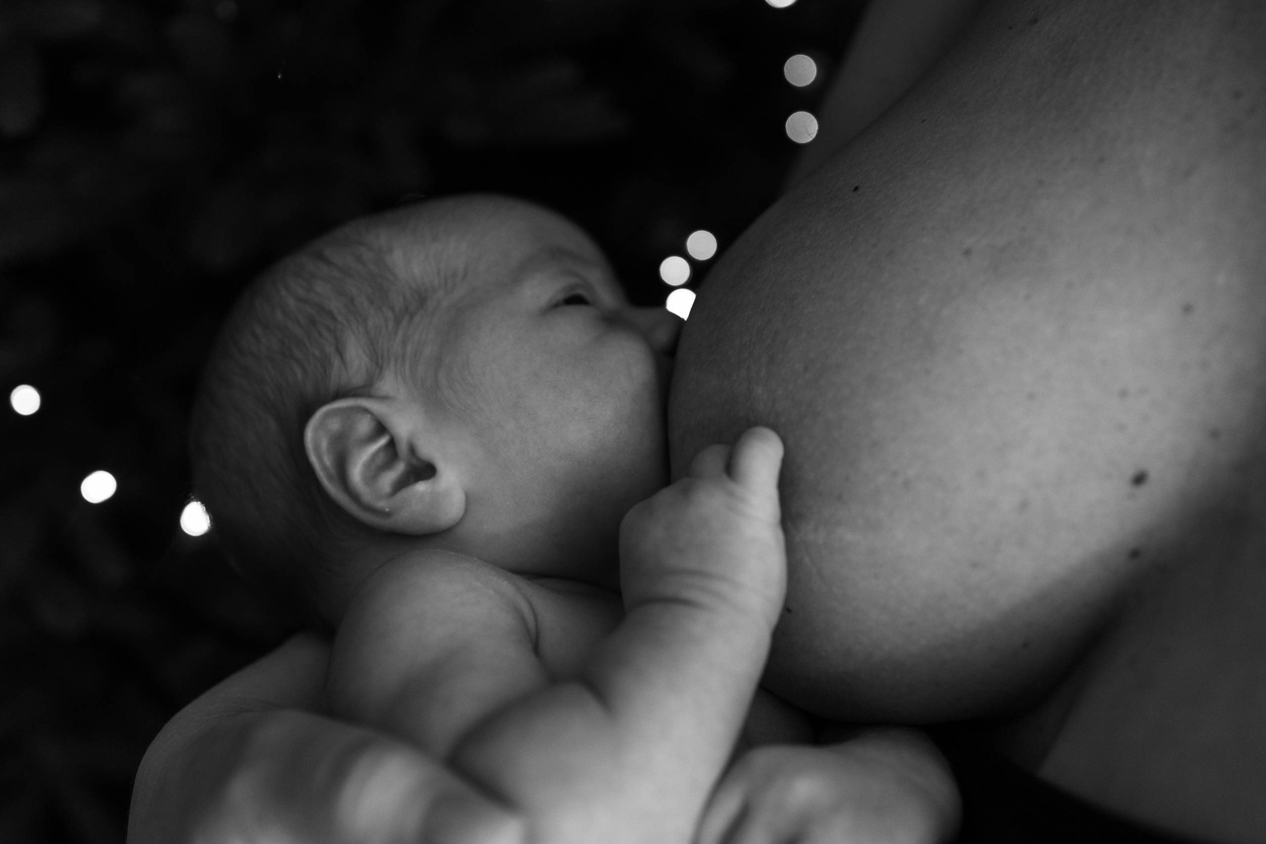 Гордей. Фотограф Новосибирск