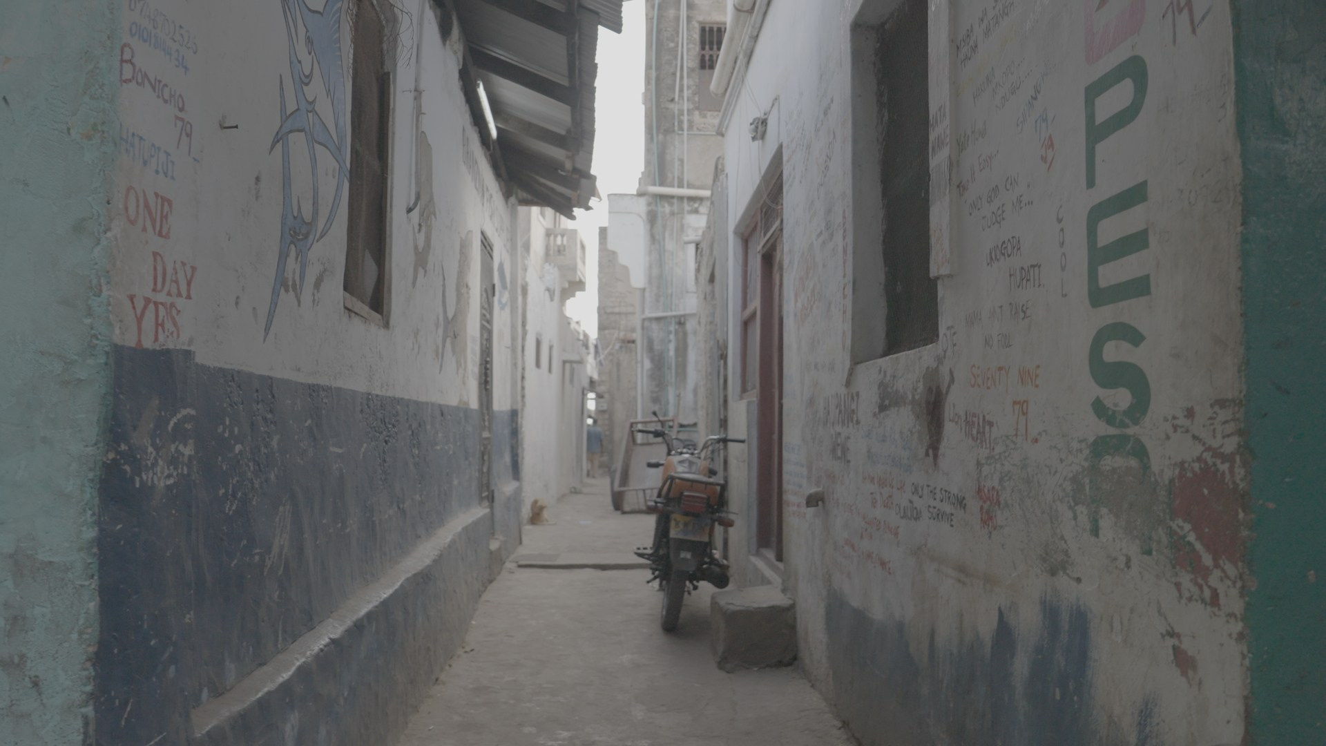 LUT NIKKI.CREATOR PART 2. Видеооператор, Видеограф в Москве, Видео монтаж