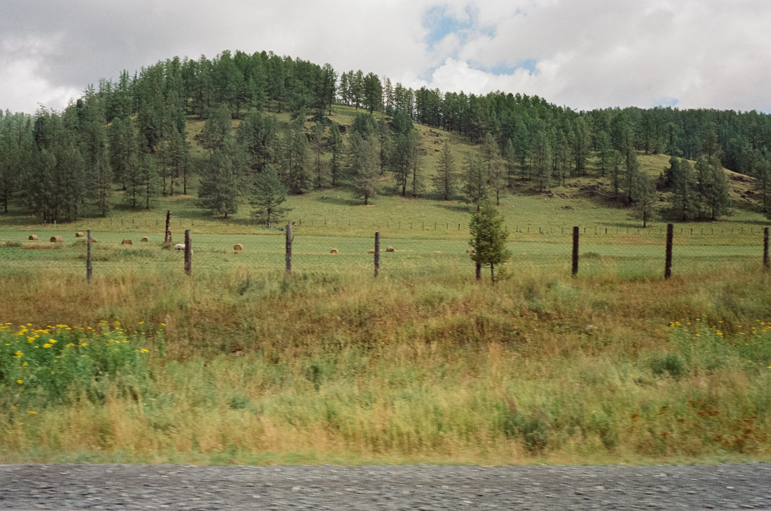 Трасса на Семинский перевал / 30 августа 2024 года