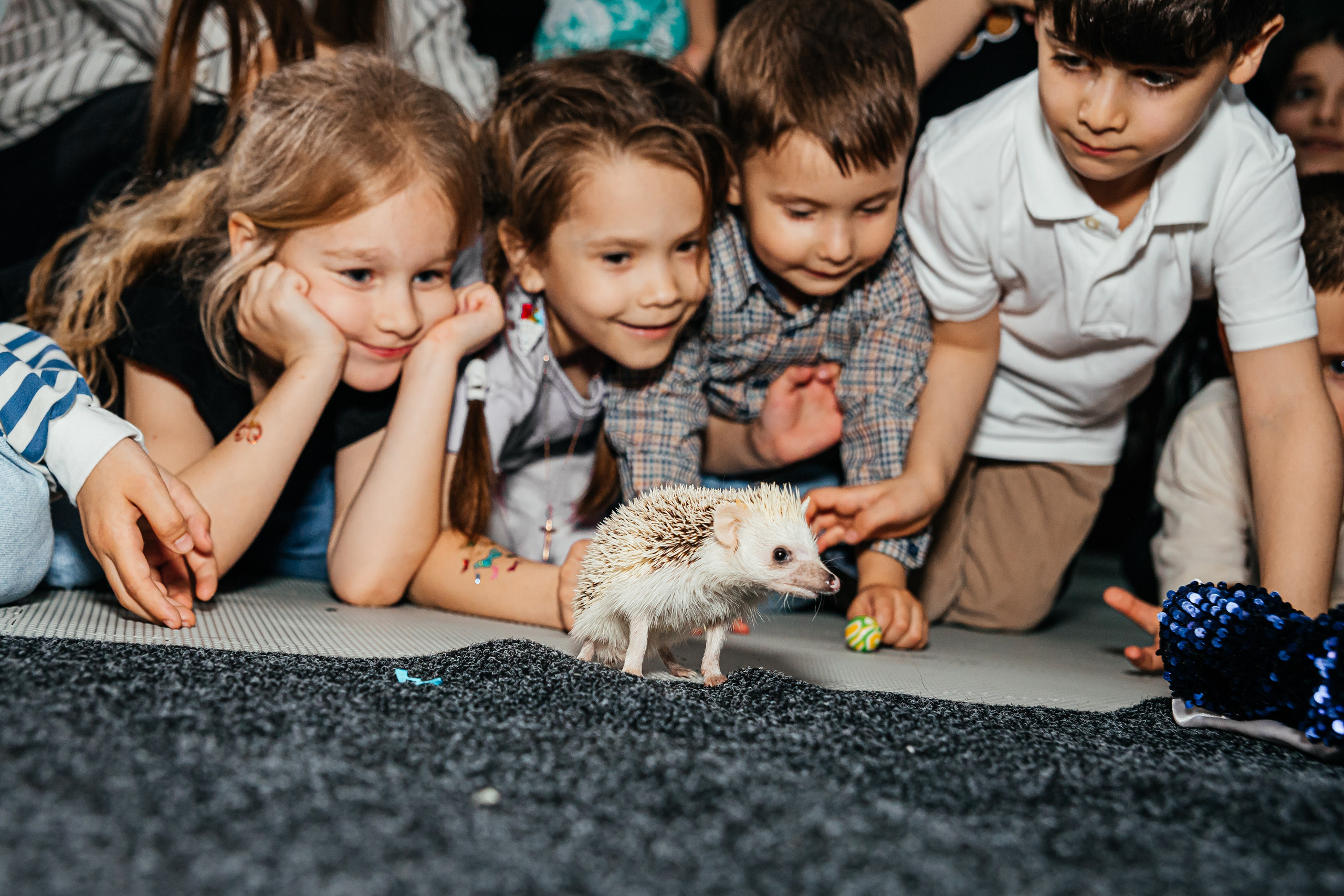 День Рождения Тимофея. Фотограф Таганрог и Ростов-на-Дону