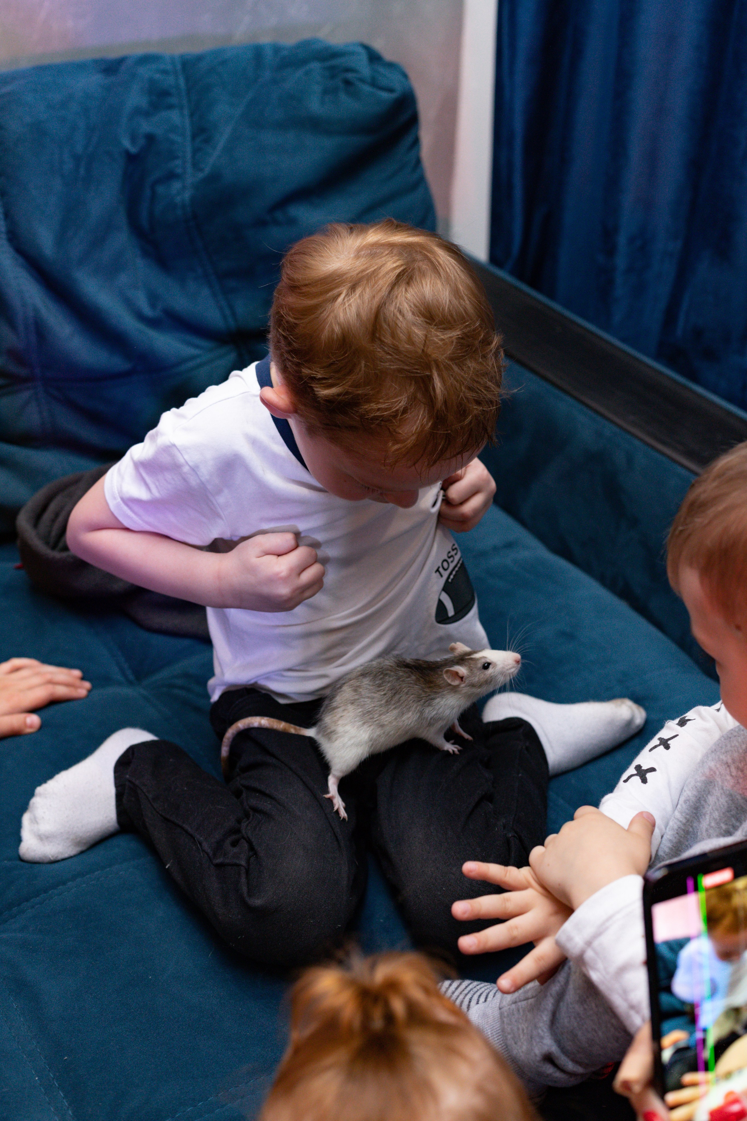 ZAHAR 5 YEAR / BIRTHDAY. Photokarish