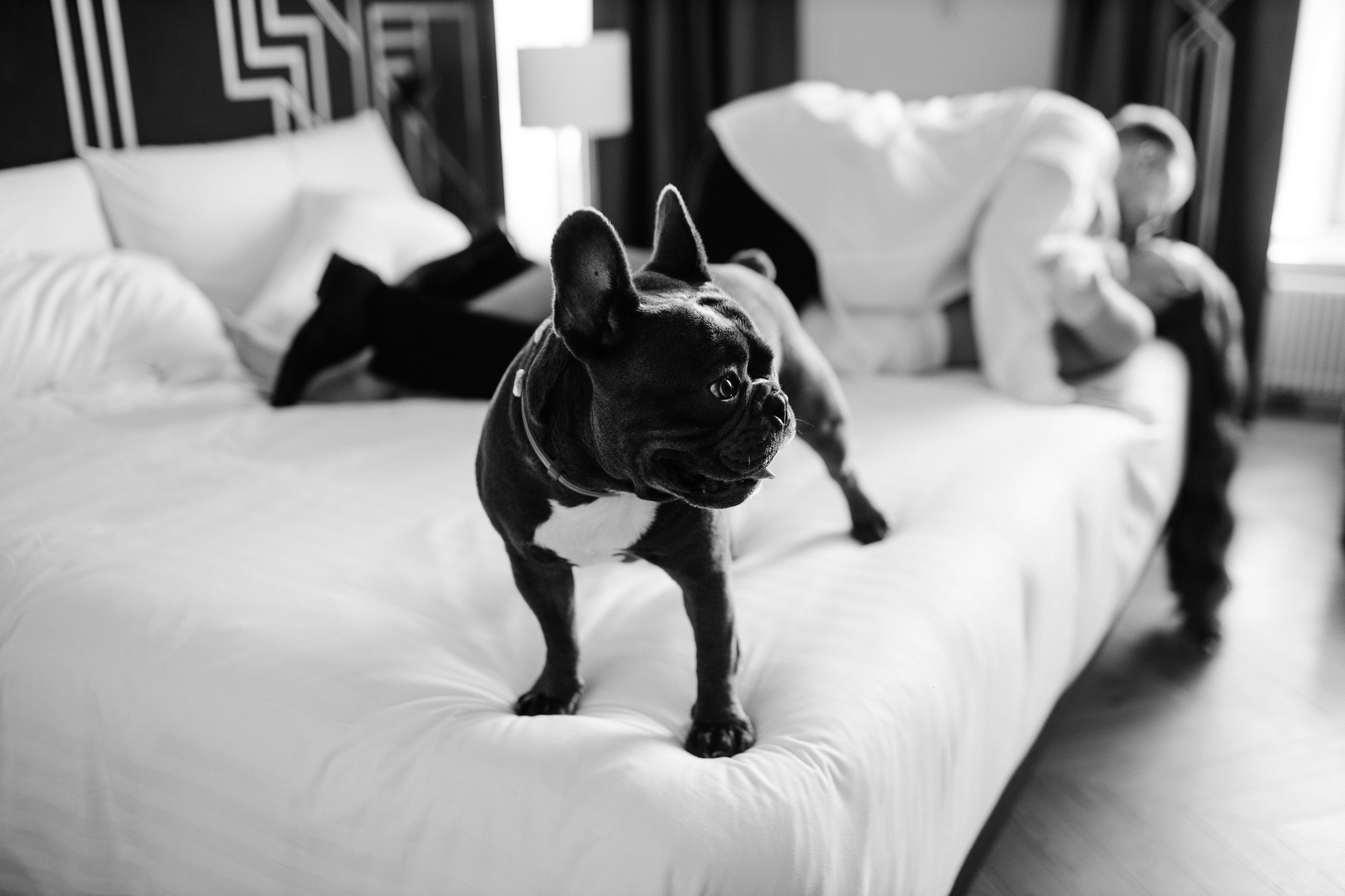 E|M. Свадебный фотограф Капаева Виктория