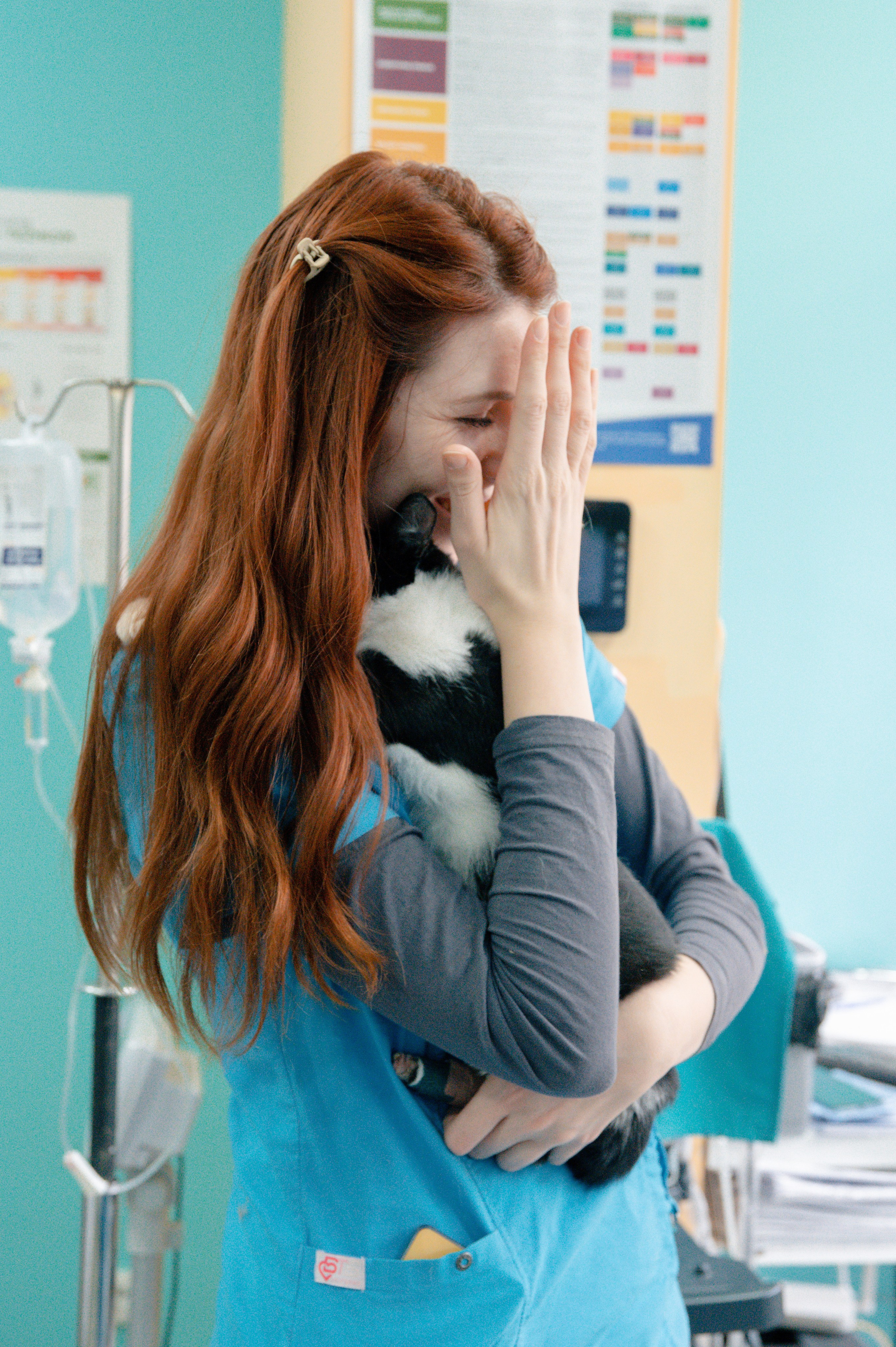 Veterinary clinic «LoyalVet». Art-photographer Ira Wind