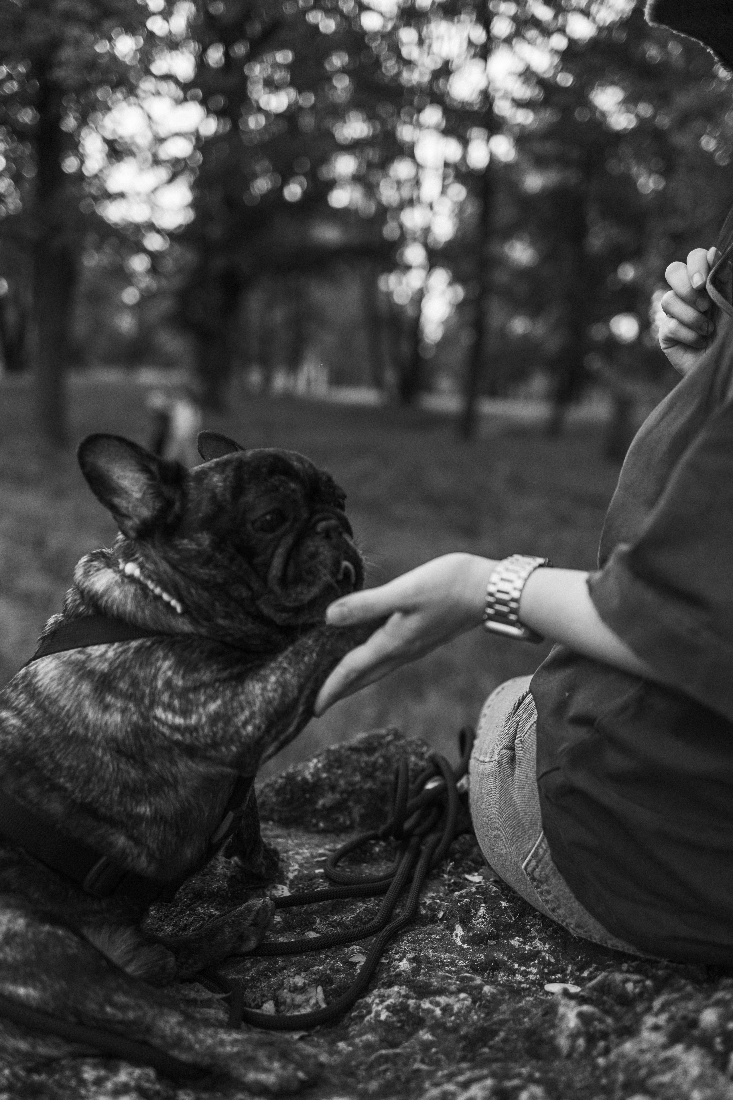 Олеся и Луи. Фотограф — Анималист | Санкт-Петербург