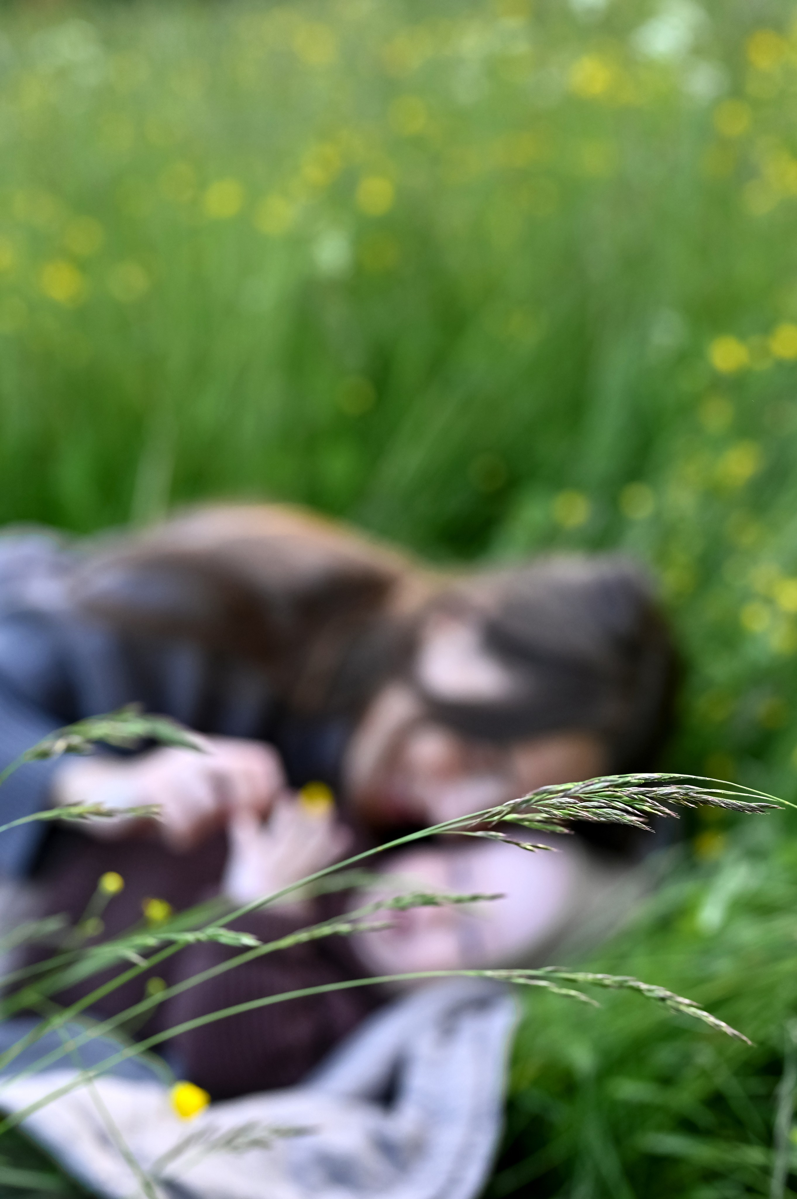 Лялин Луг. Вика и Миша. Фотограф Юлия Кондратьева