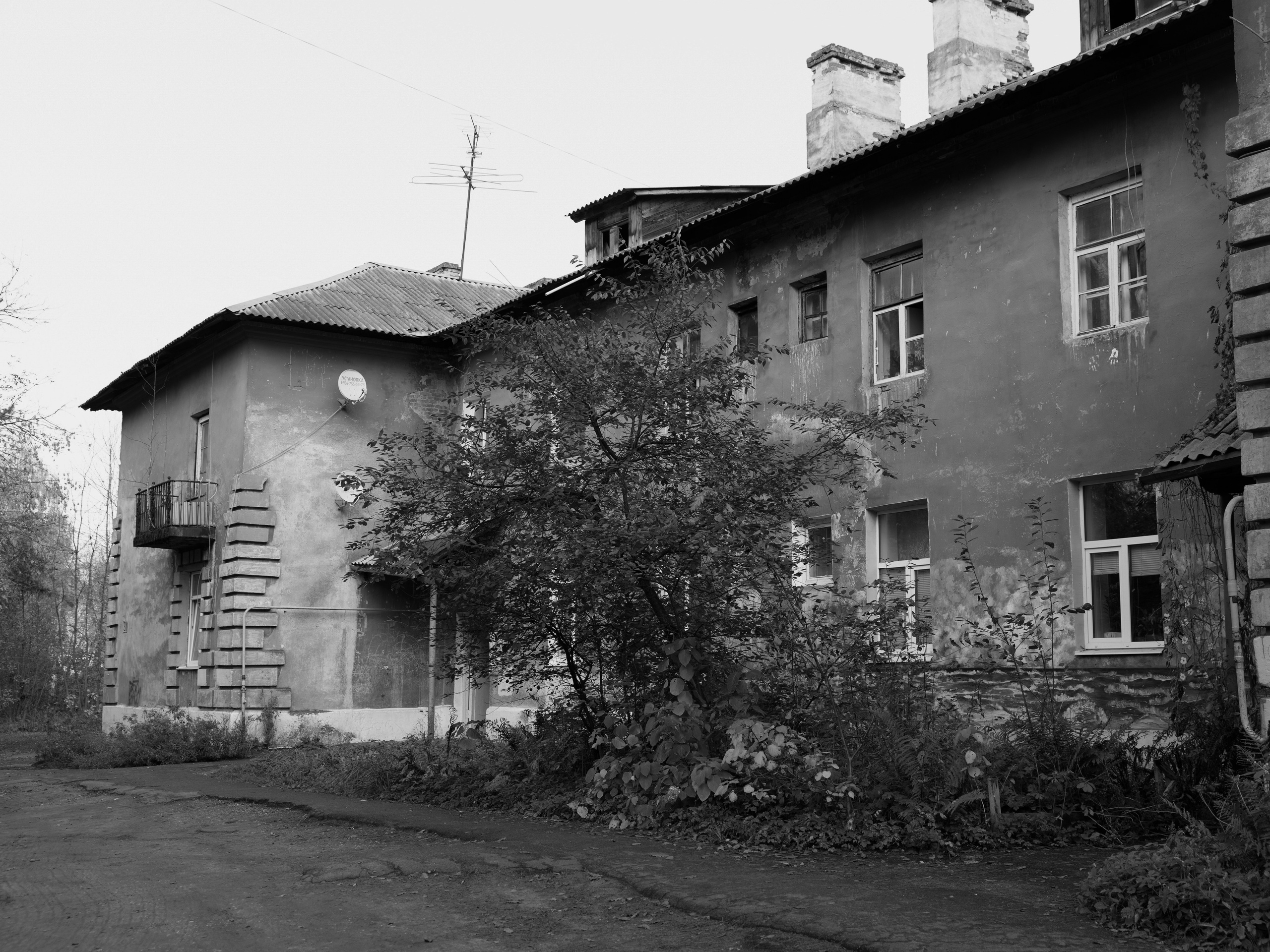 Беляева Светлана. Фотограф Москва, Королёв. Заказать фотографа. Фотография. 