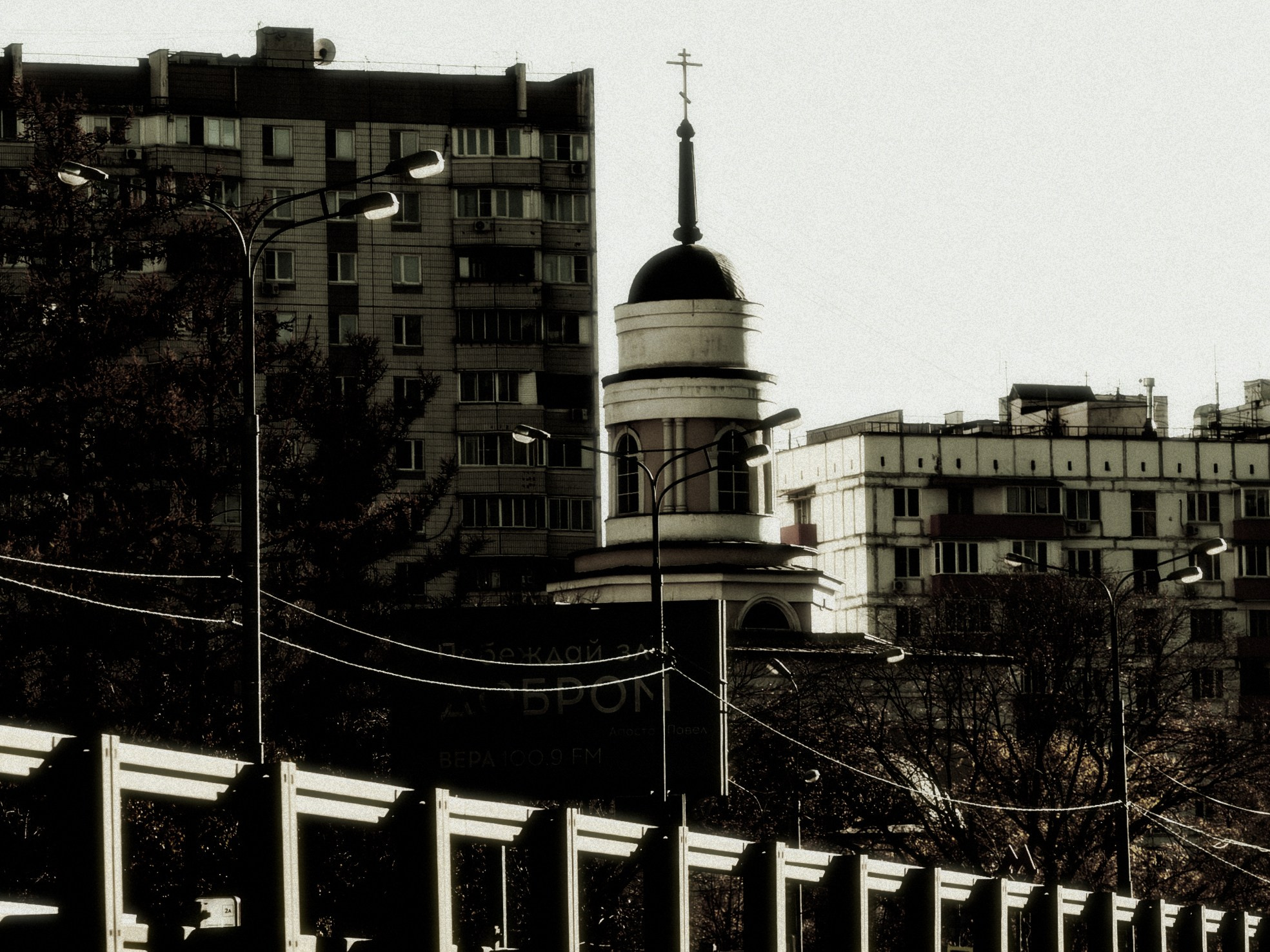 Беляева Светлана. Фотограф Москва, Королёв. Заказать фотографа. Фотография. 