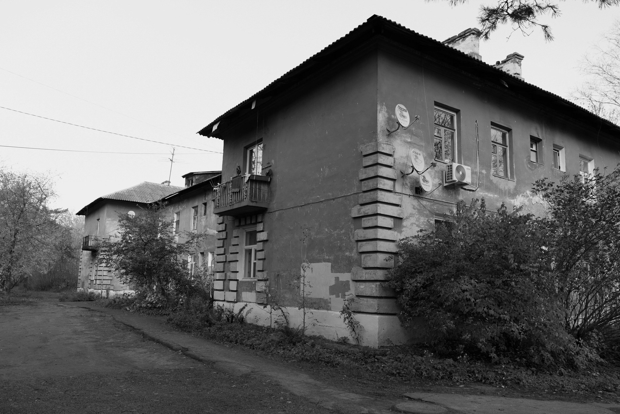 Беляева Светлана. Фотограф Москва, Королёв. Заказать фотографа. Фотография. 