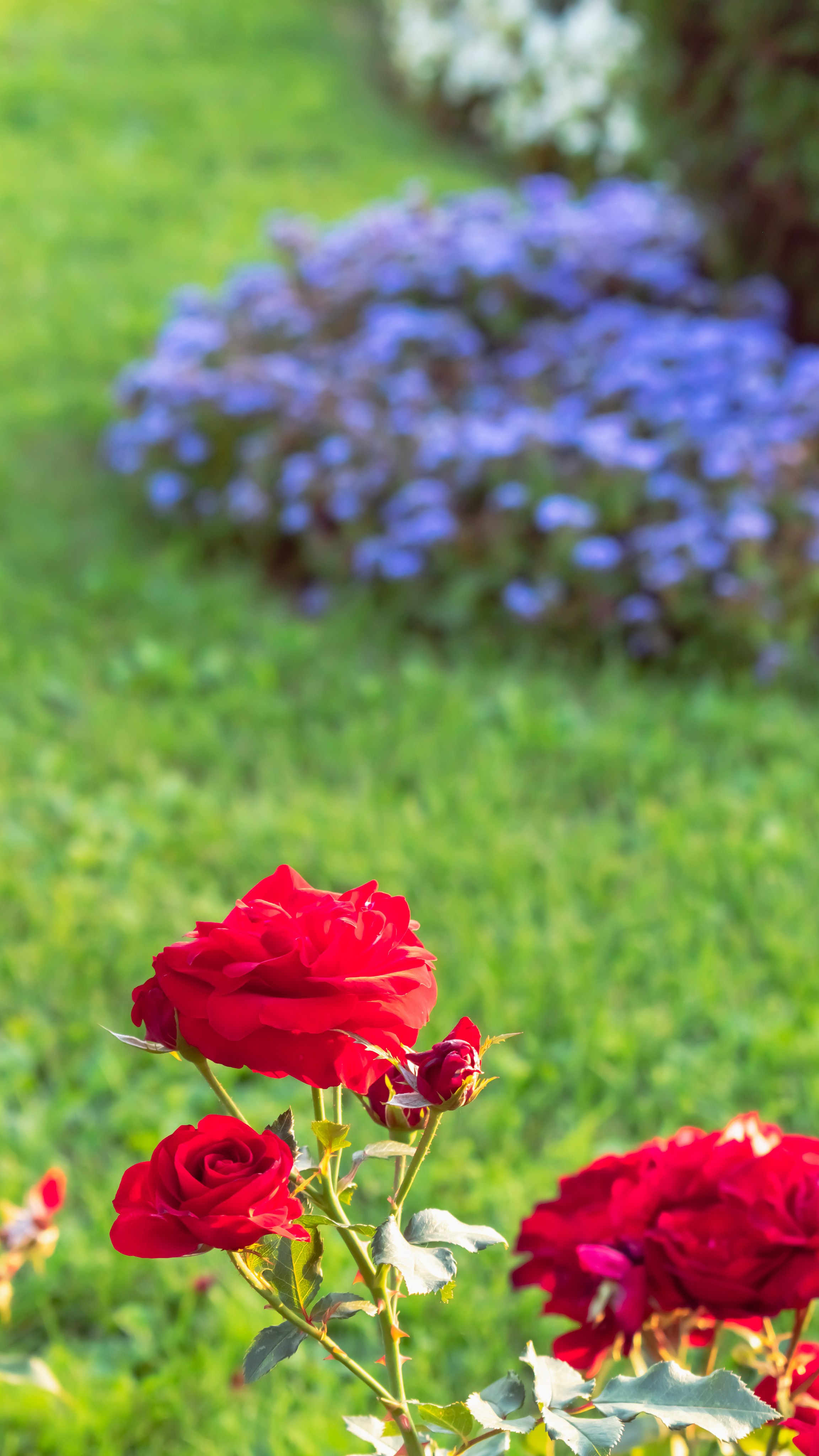 Москва. Фотограф в Набережных Челнах Мари Сенчик