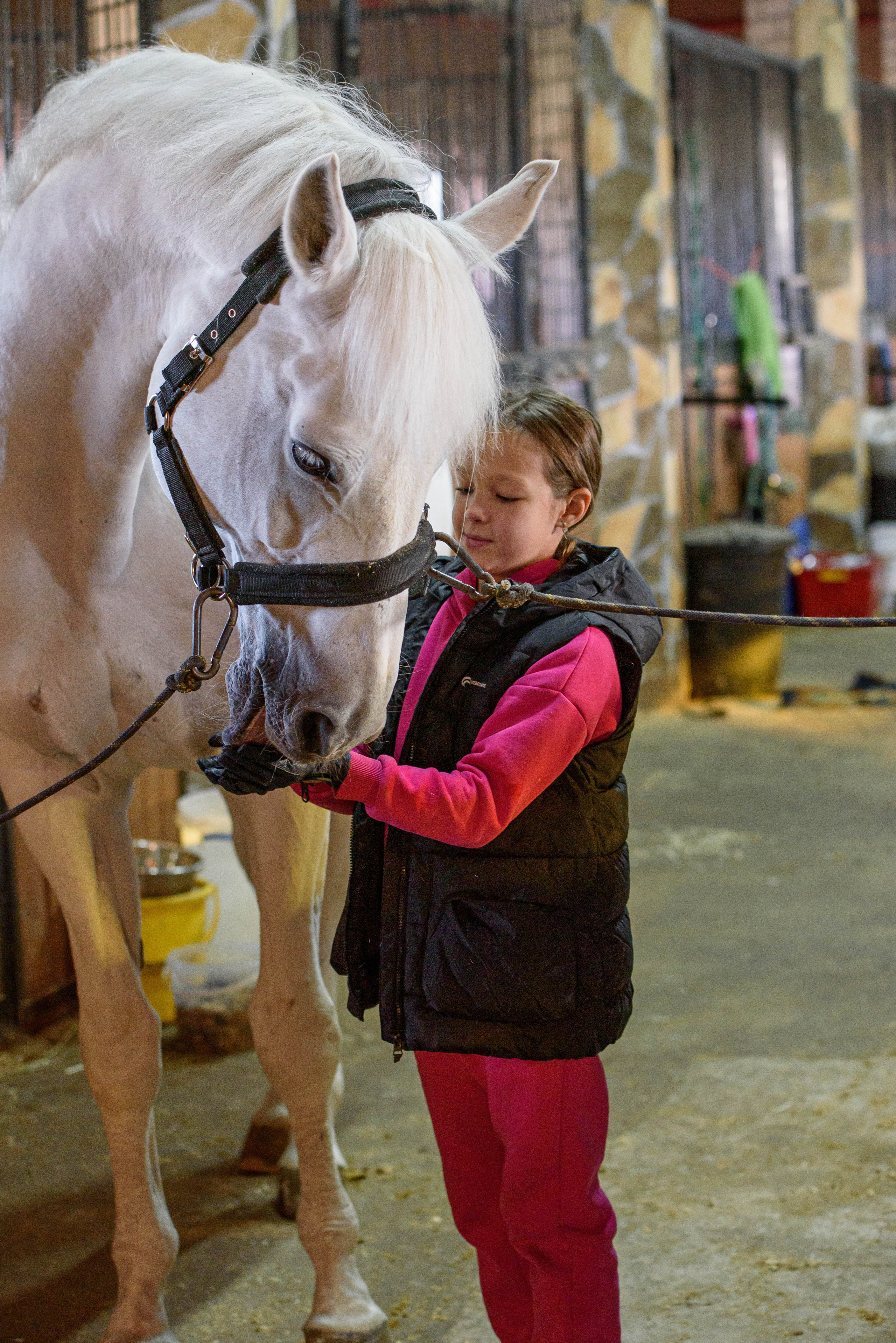 Кони. Мотофотограф в Нижнем Новгороде Динара Зуйкова