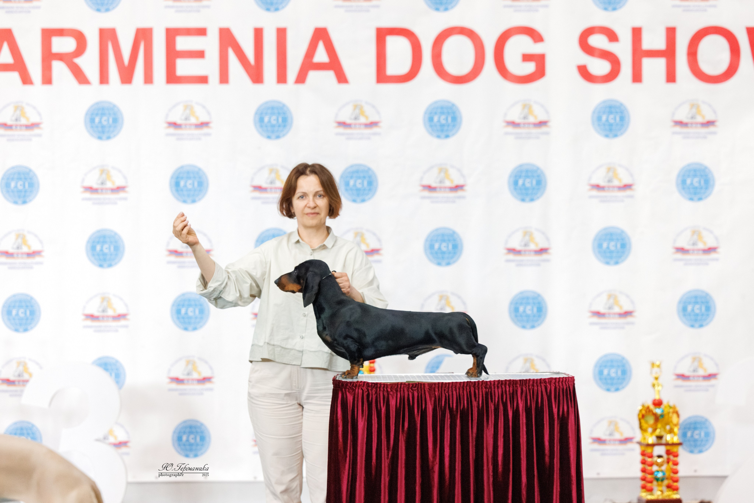 Ереван 2х CACIB 29-30.04.2025. Фотограф-анималист Юлия Германика