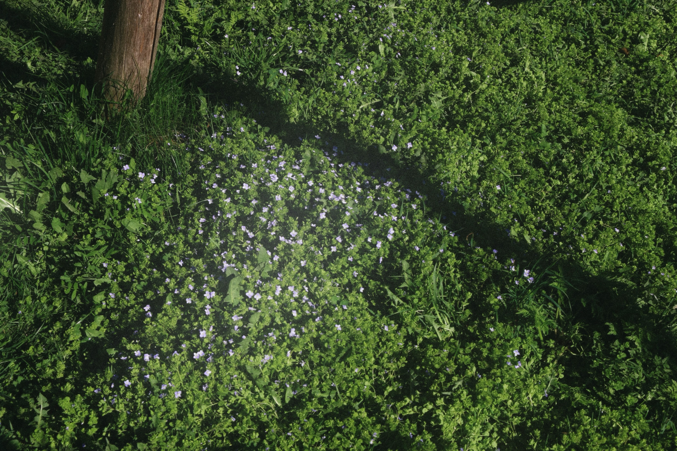 Фотоальбом: День музыка и танца. VITA · visual therapy arts