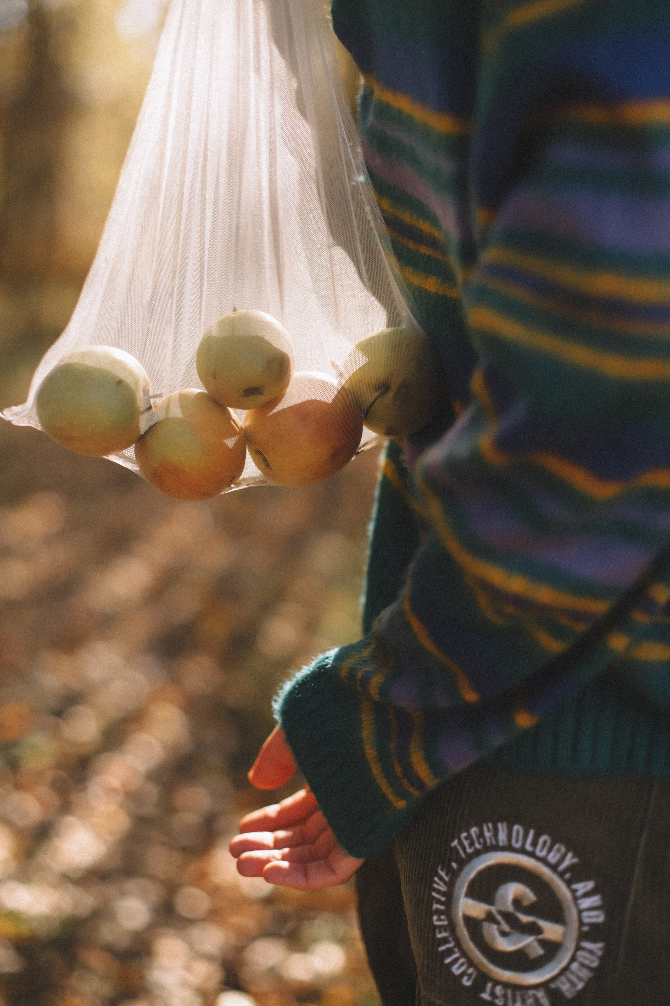 Настя. Фотограф в Нижнем Новгороде Кристина Батанова