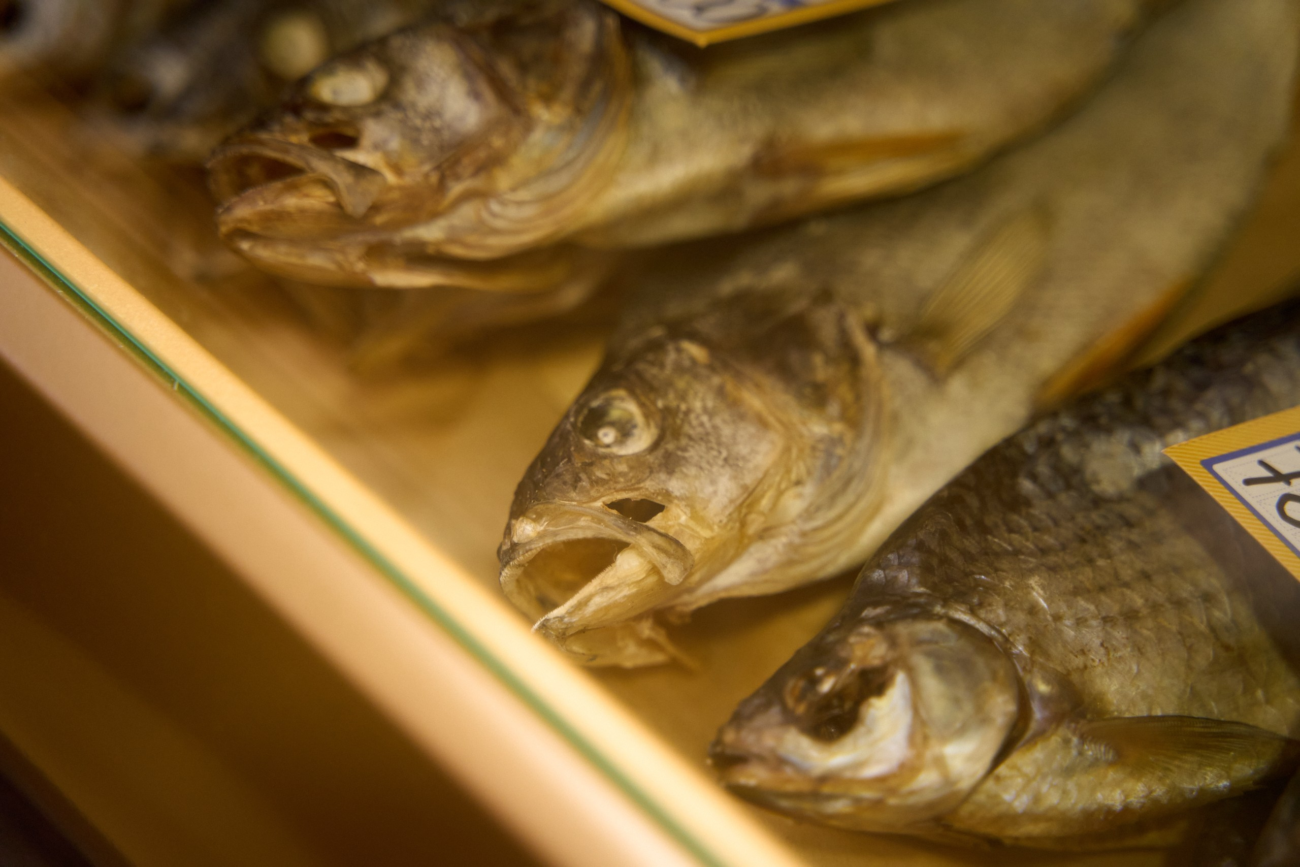 Открытие франшизы магазина разливного пива. Павленко Дмитрий фотограф и видеограф в Торжке