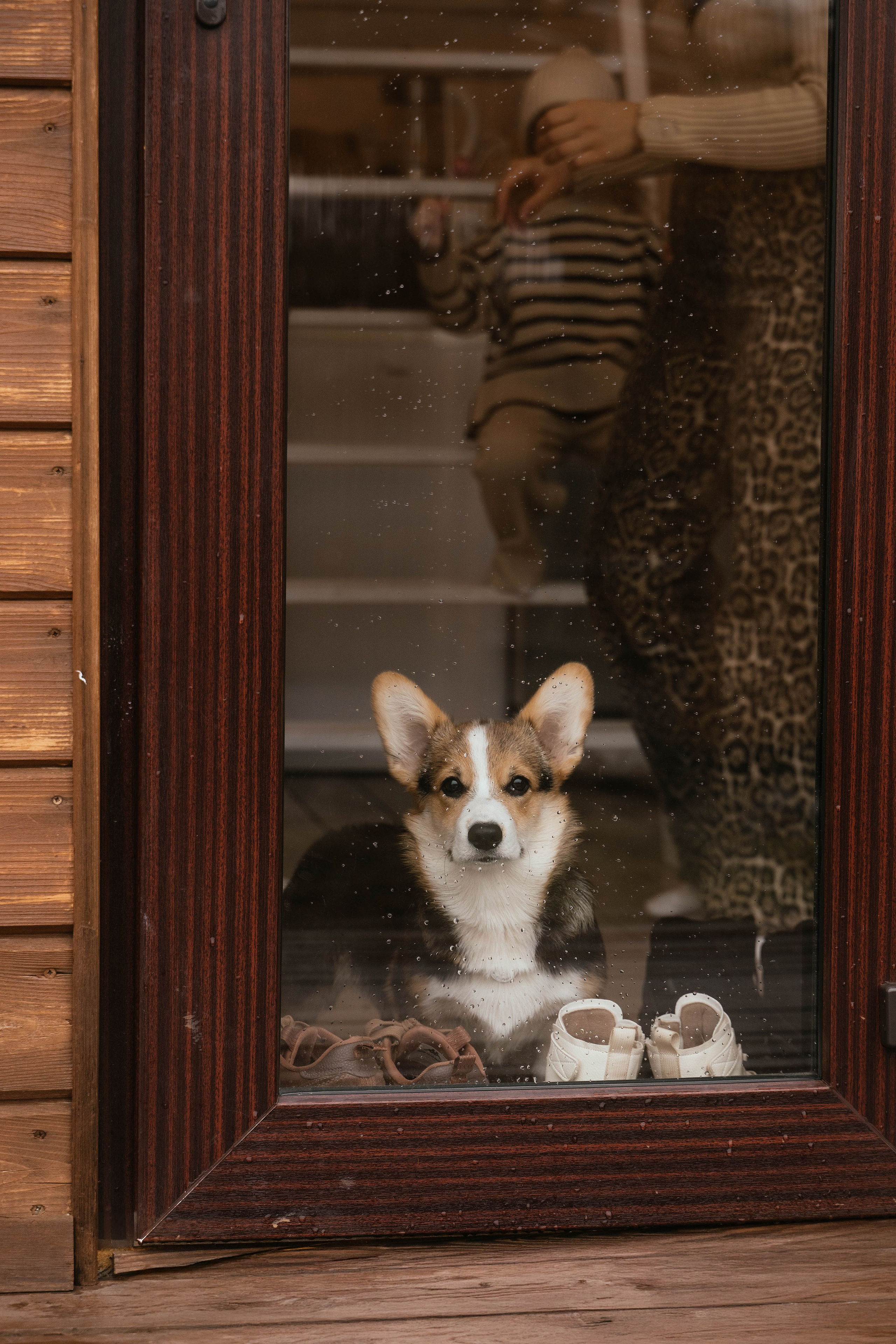 Вика, Коля, Лера, Ева и Вестар. Свадебный, семейный фотограф в Рязани Лена Брант