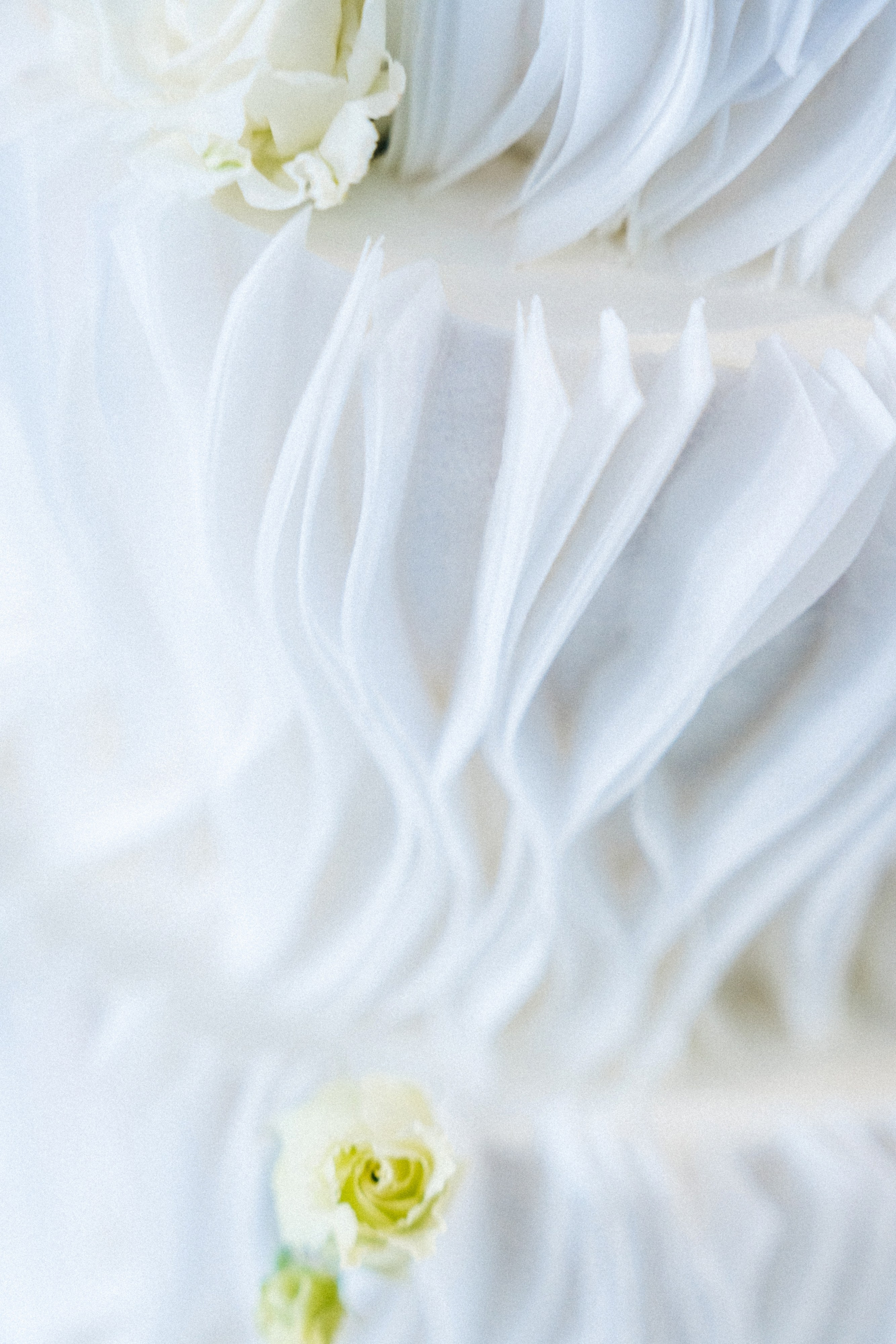 Wedding. Свадебный, репортажный, семейный фотограф Елена Брюхова