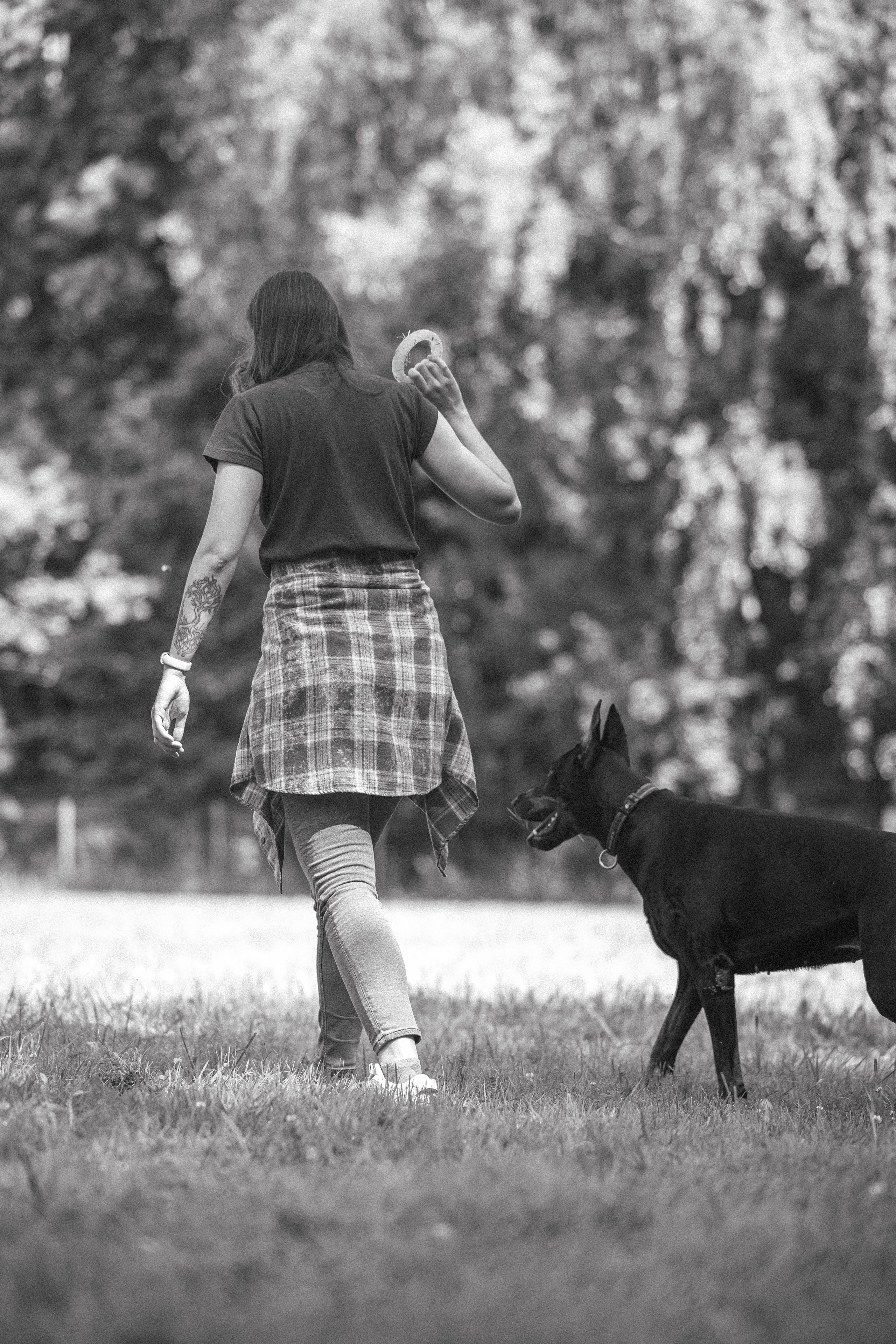Доберман Айза. Фотограф Анималист в Москве Анастасия Жучкова