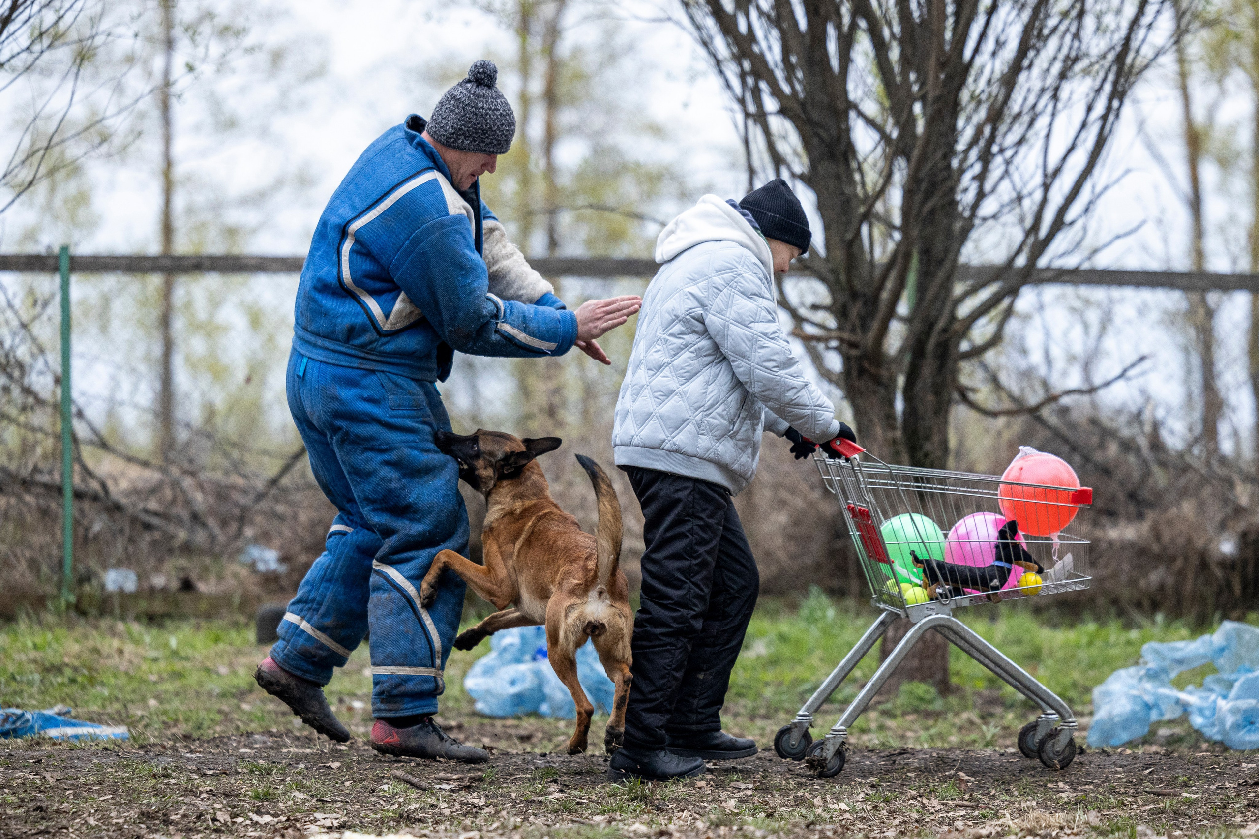 Квалификационные состязания по мондьорингу г. Вологда 11.05.24. Фотограф-анималист Анна Маринич