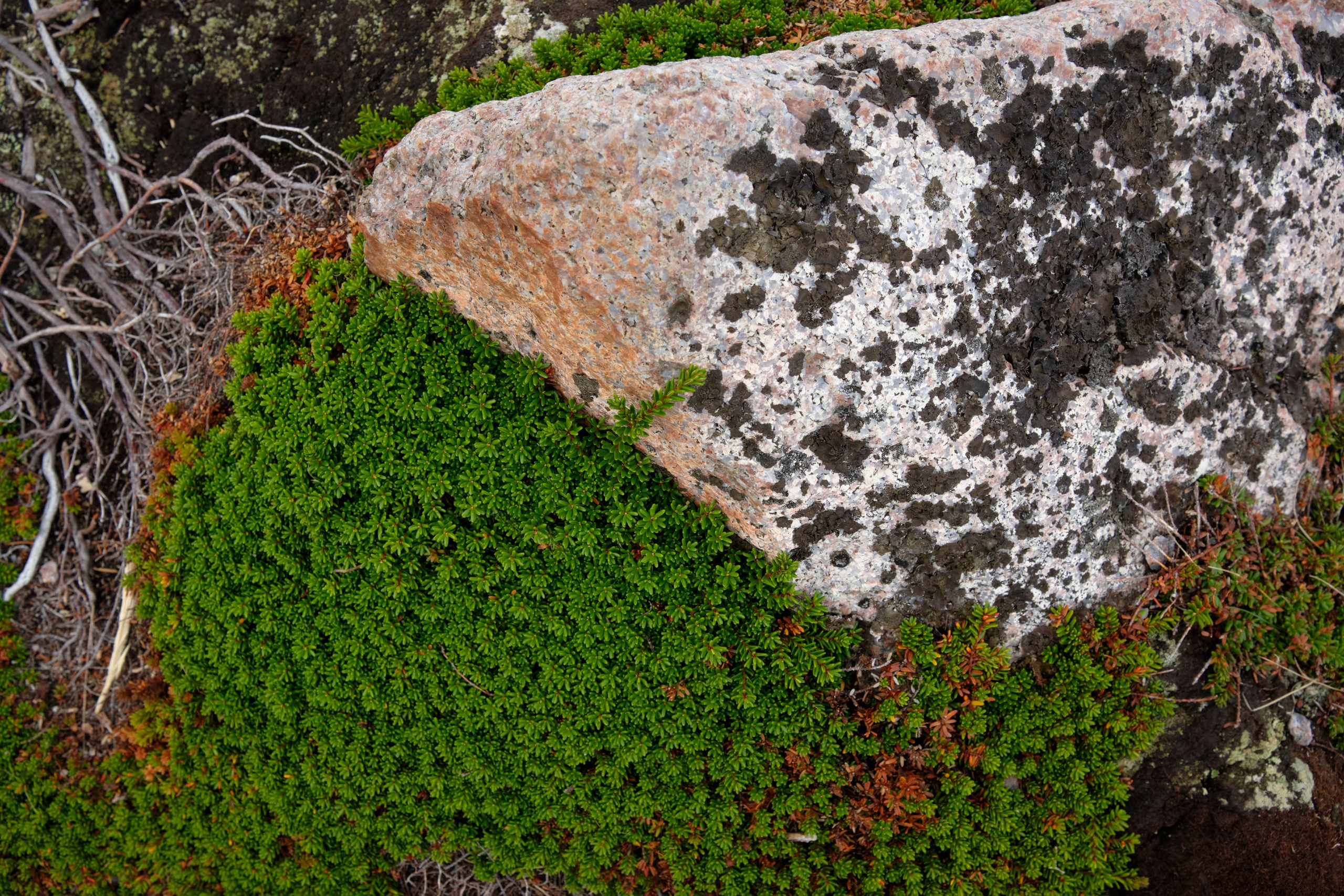 Путешествие в Териберку. Елена Павленко. Фотограф. Москва