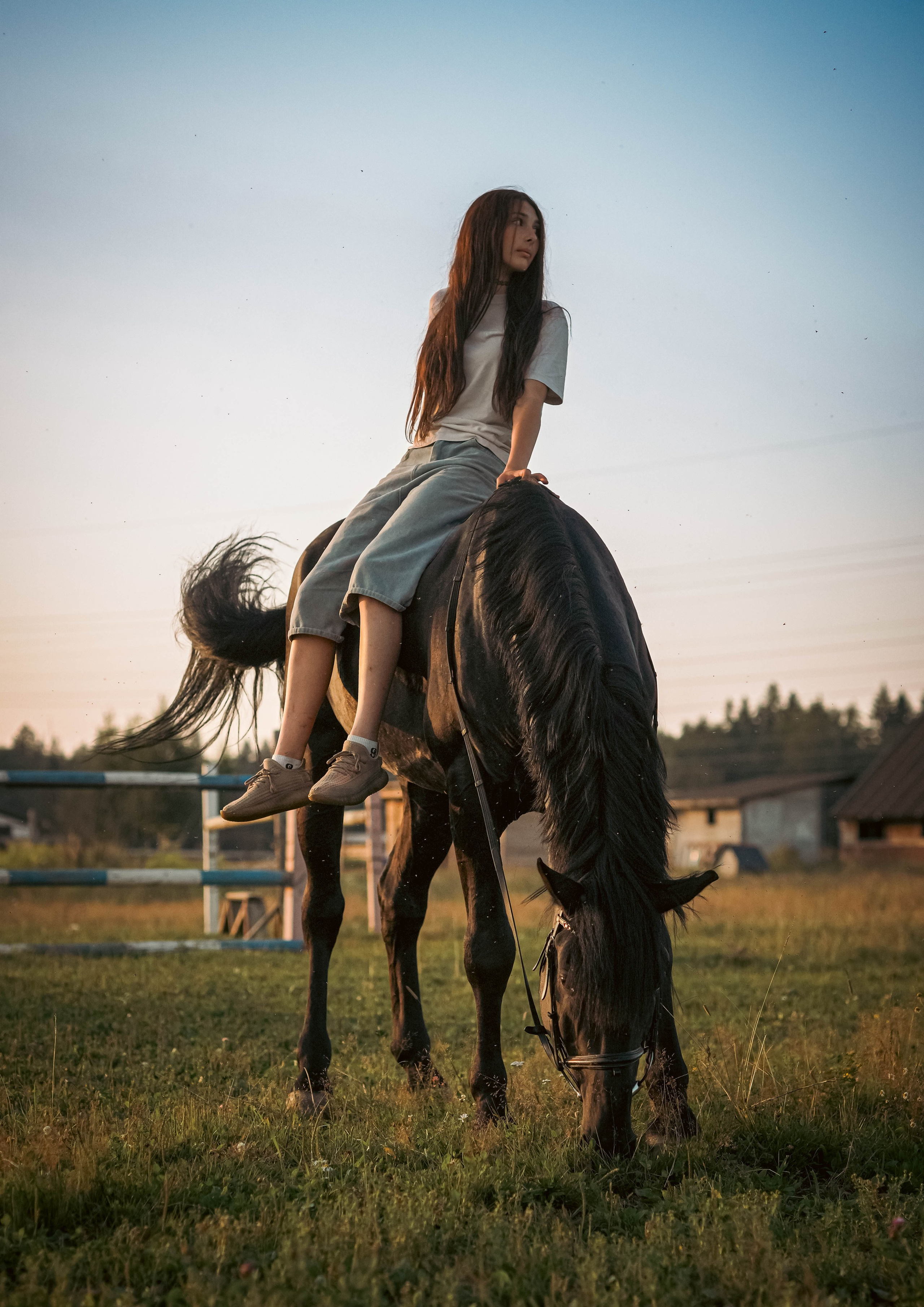 Конный клуб — не бей копытом. Фотограф в Москве Полина Ефремова