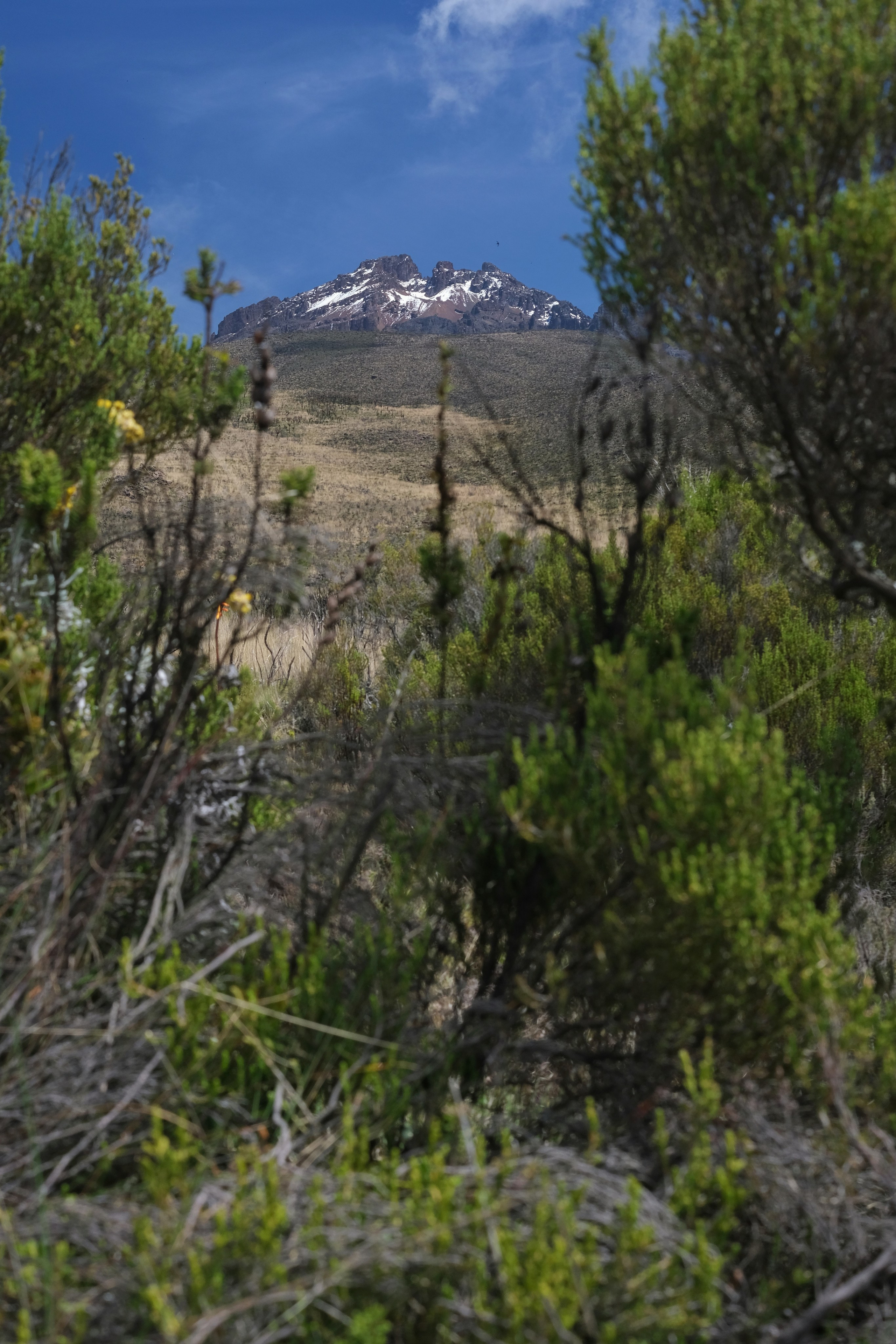 Килиманджаро