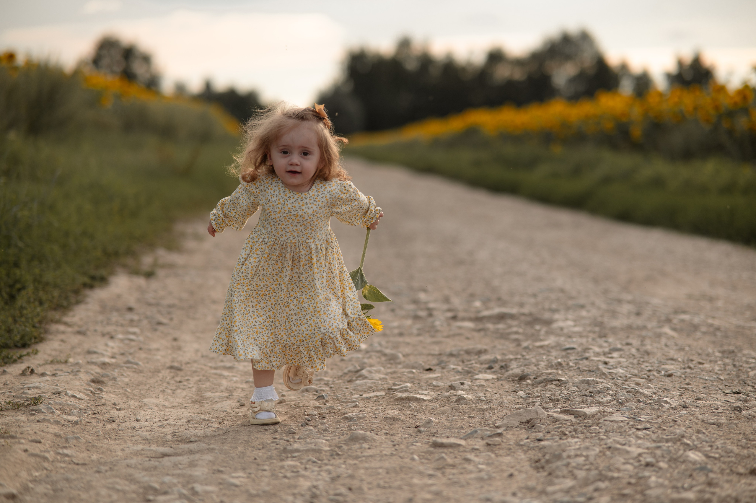 Подсолнухи. Фотограф Юлия Дубровская | Тула — свадьбы, семьи, детские съёмки