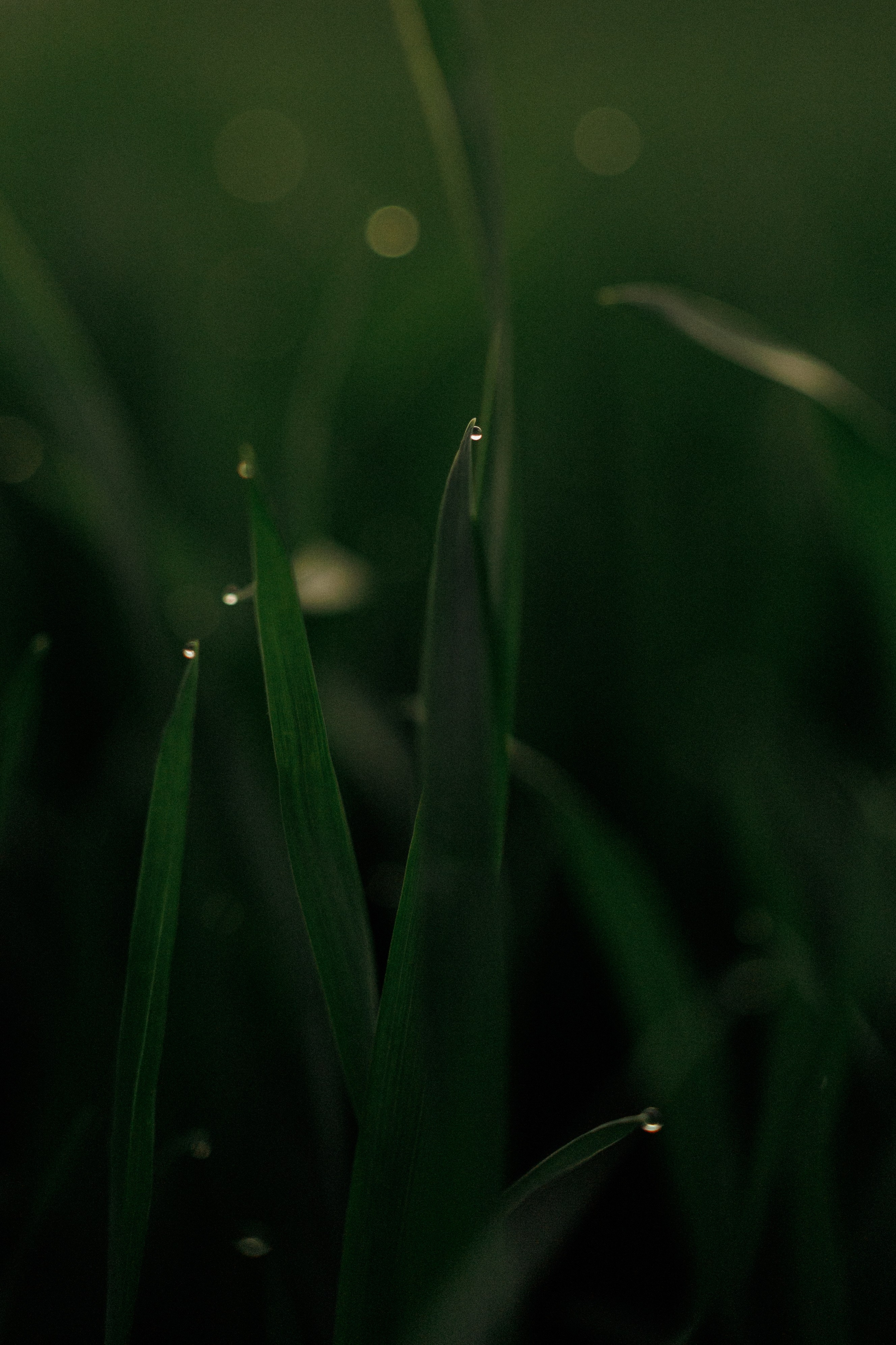 Мария. Портретный и свадебный фотограф в Минске Юлия Романькова