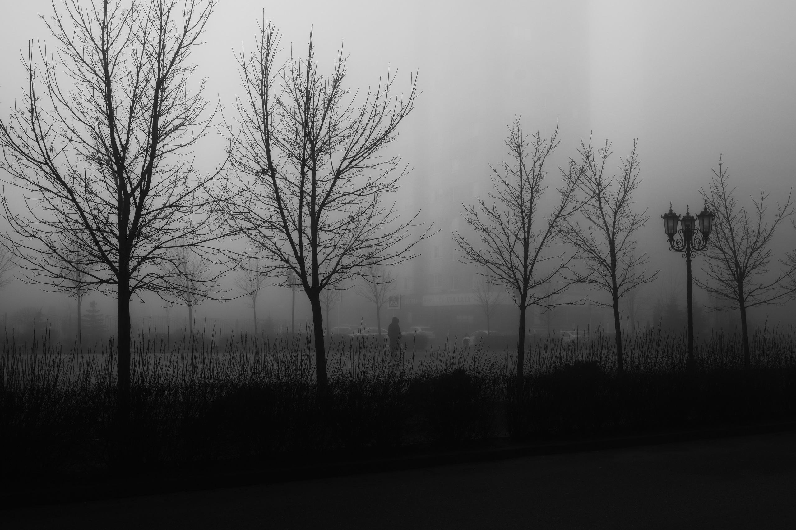 Уличная фотография. Главная