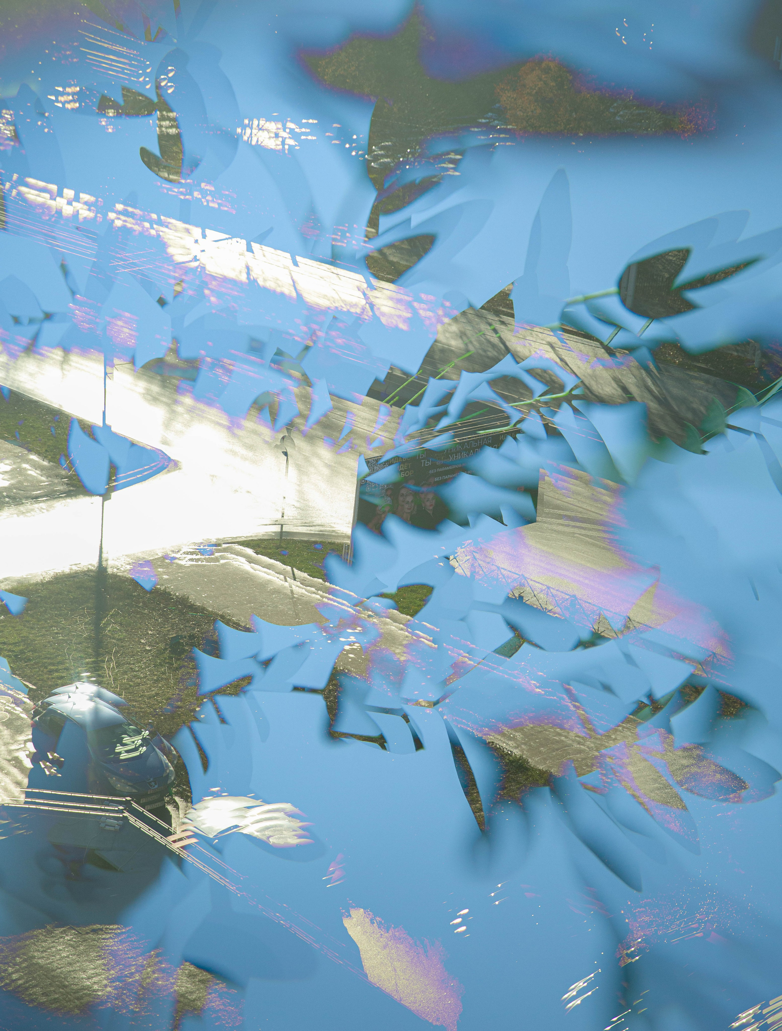 СТРОФА 2 — ЦВЕТОВЕДЕНИЕ. Photographer Anna Arzamastseva