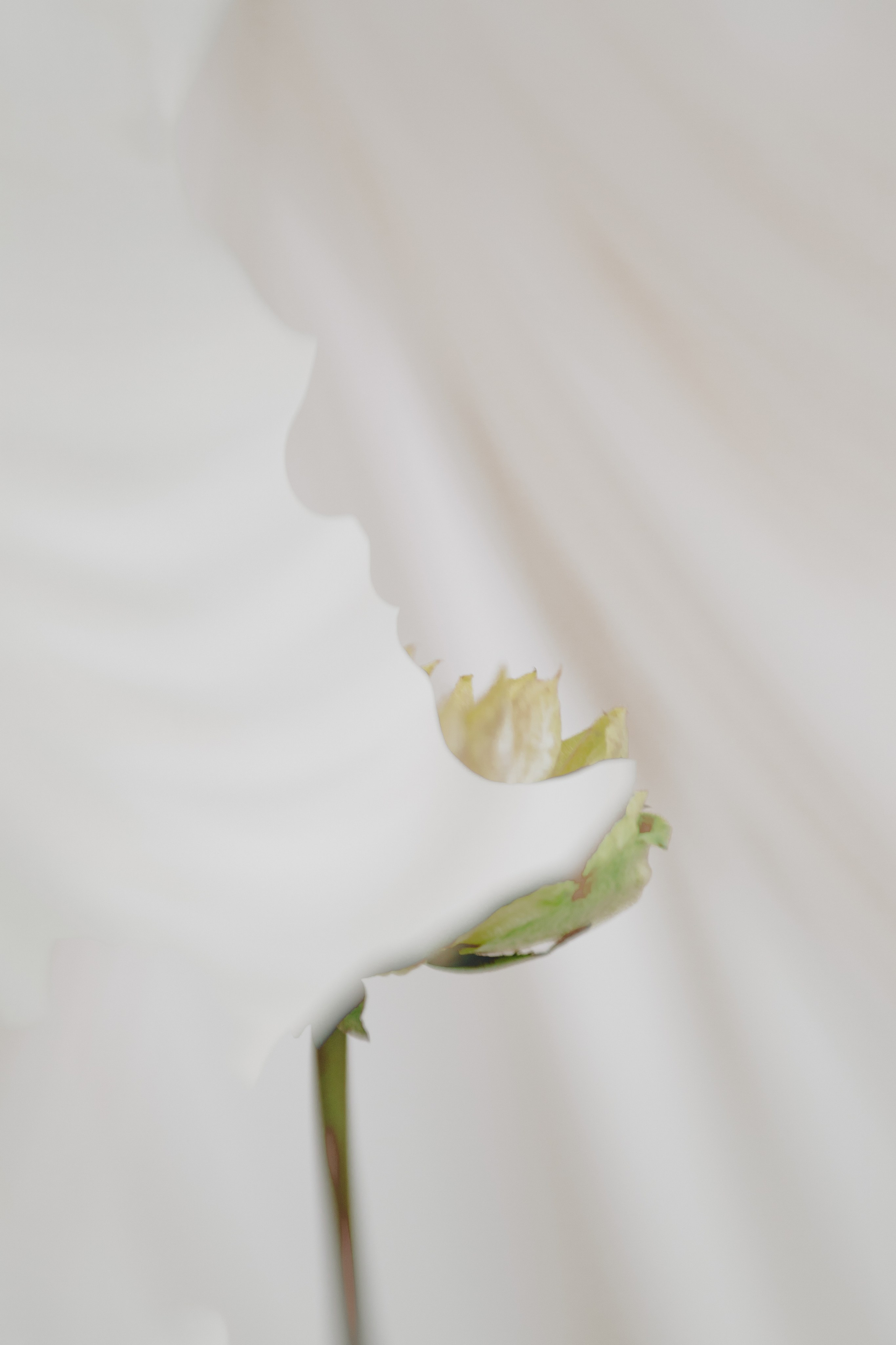 Елена, мастер тайцзи. АННА ВЕРСО / ANNA VERSO | Визуальный художник / Visual artist