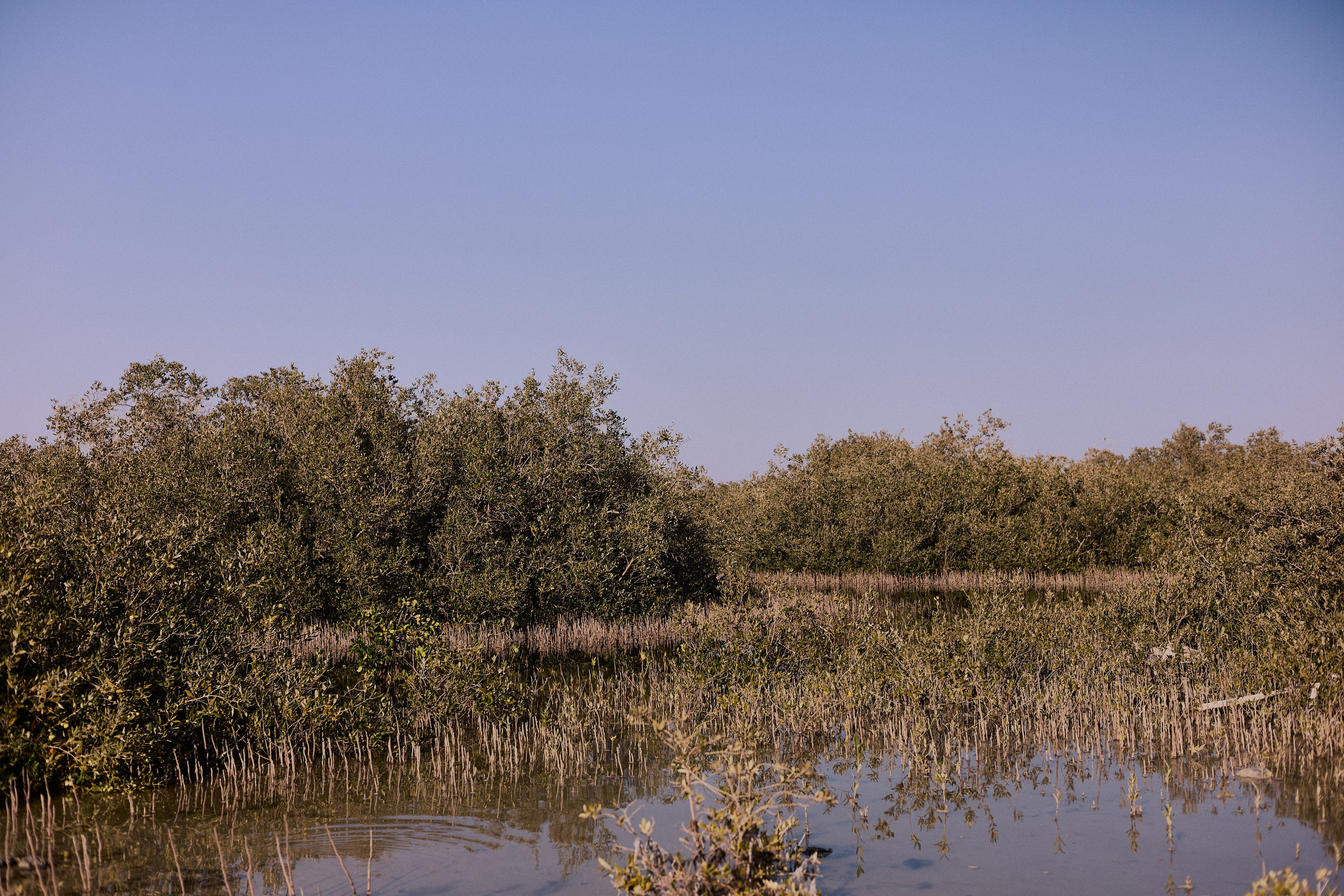 Улица горизонтальная. Jorgis — фотограф в Хургаде / обучение фотографии